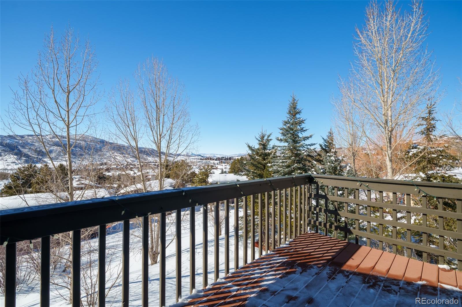 MLS Image #19 for 2955  apres ski way ,steamboat springs, Colorado