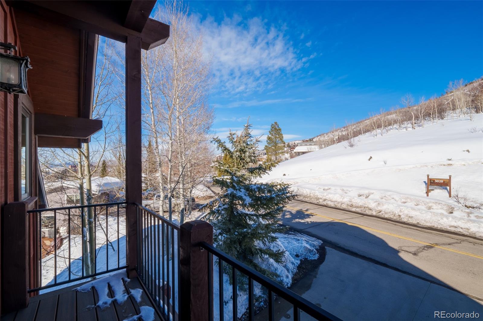 MLS Image #19 for 3015  apres ski way,steamboat springs, Colorado