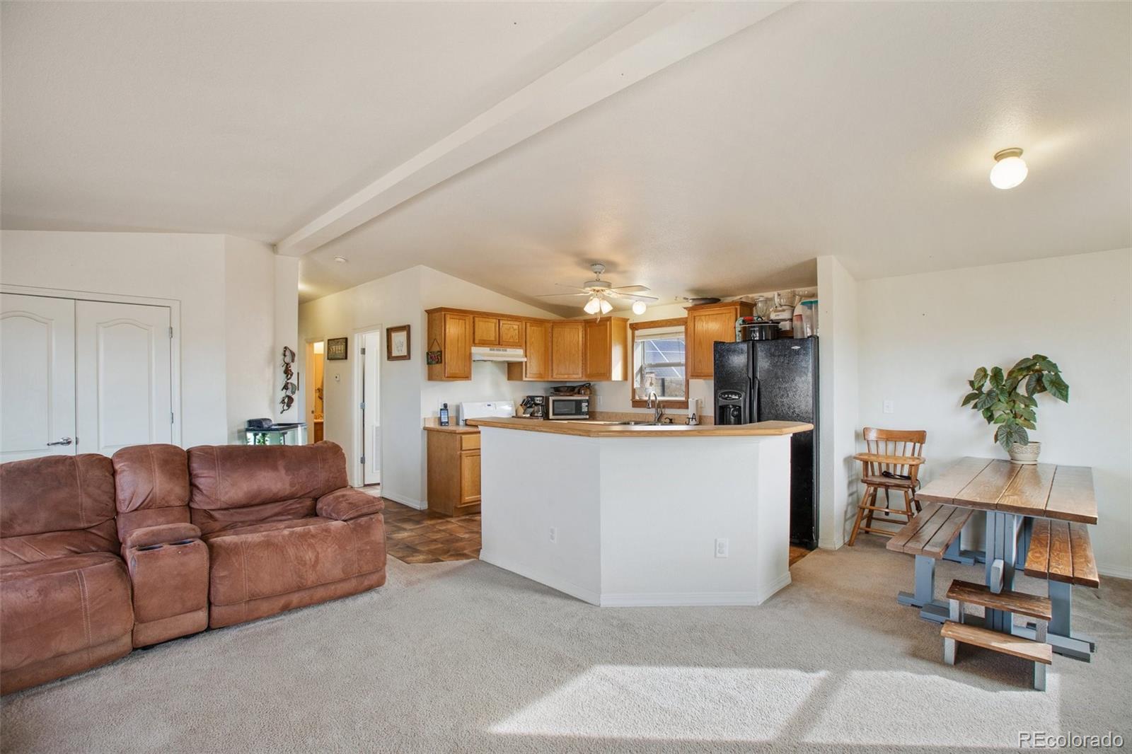 MLS Image #10 for 1888  lakeview drive,hartsel, Colorado