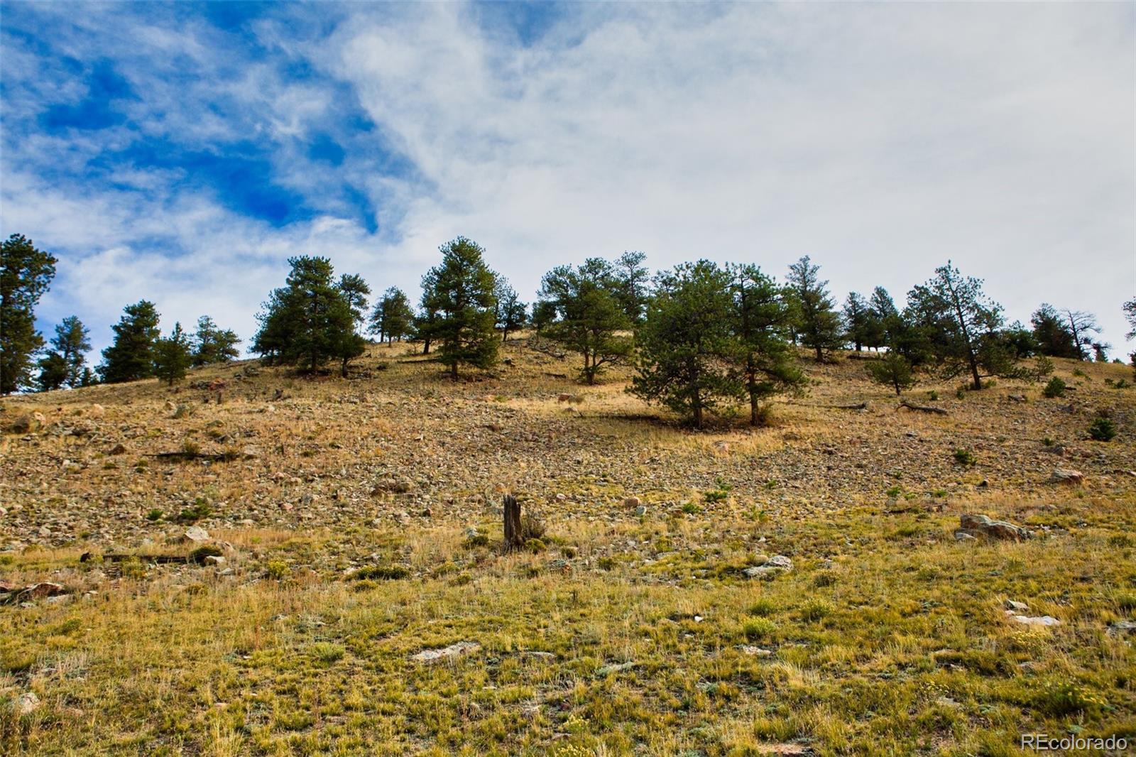 MLS Image #21 for 1888  lakeview drive,hartsel, Colorado