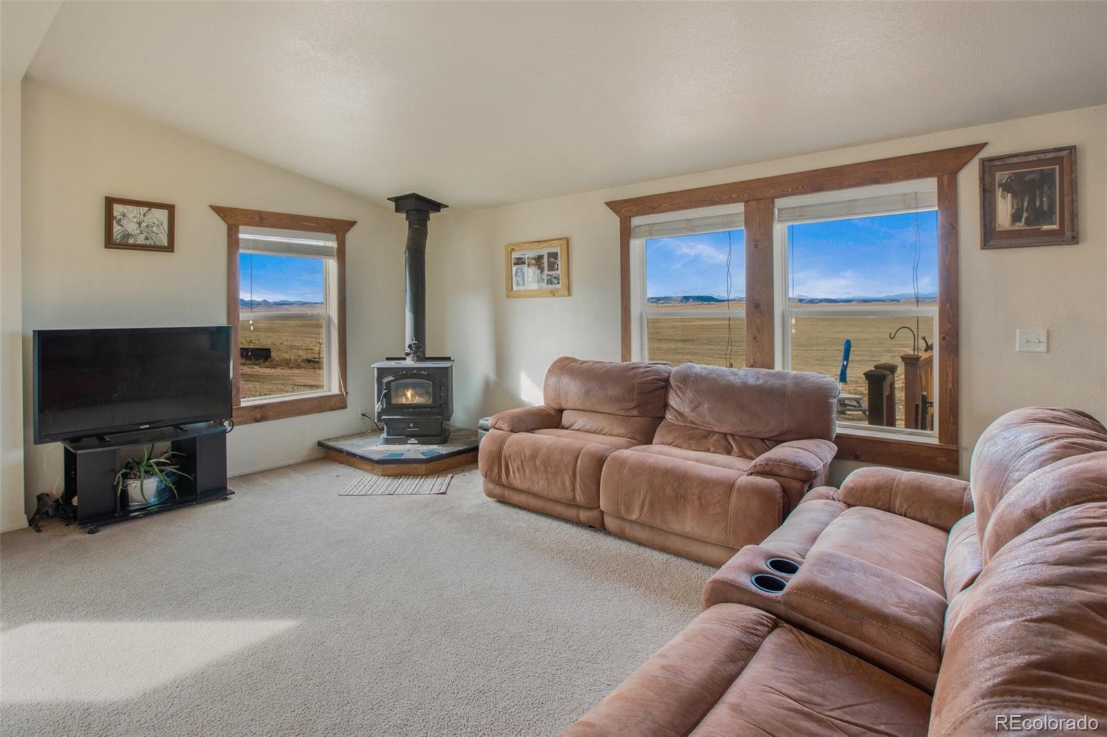 MLS Image #7 for 1888  lakeview drive,hartsel, Colorado