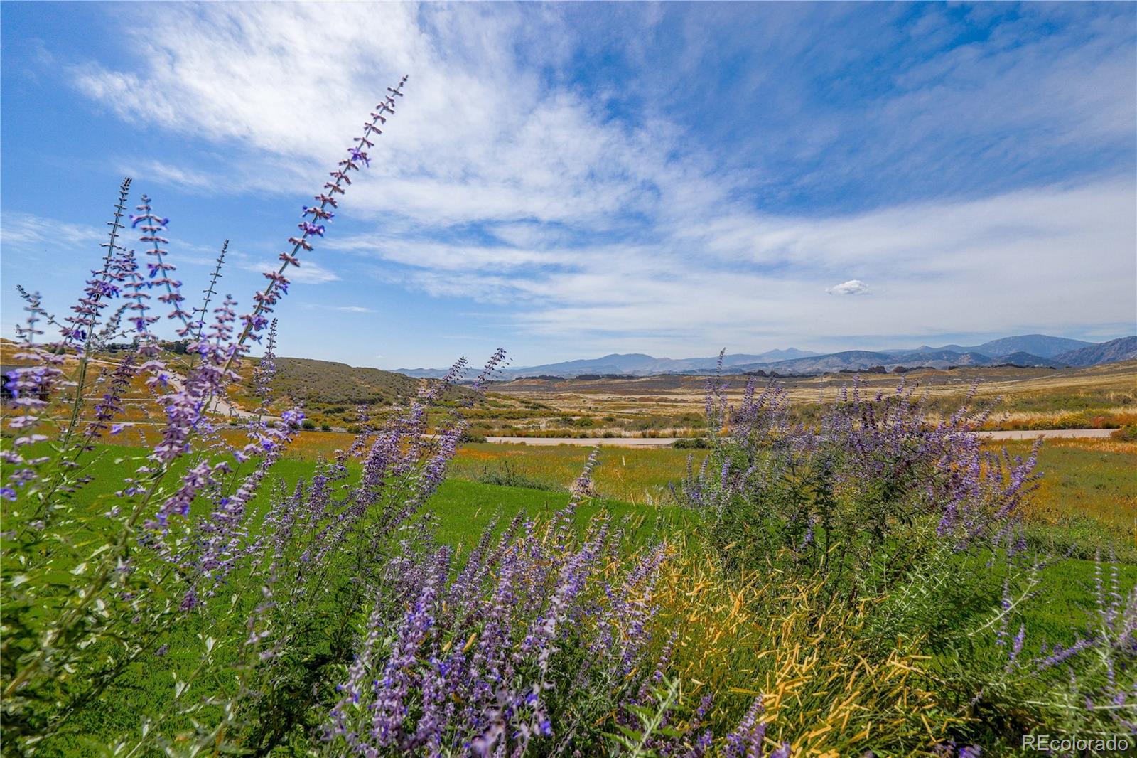 MLS Image #44 for 3580  backbone drive,loveland, Colorado