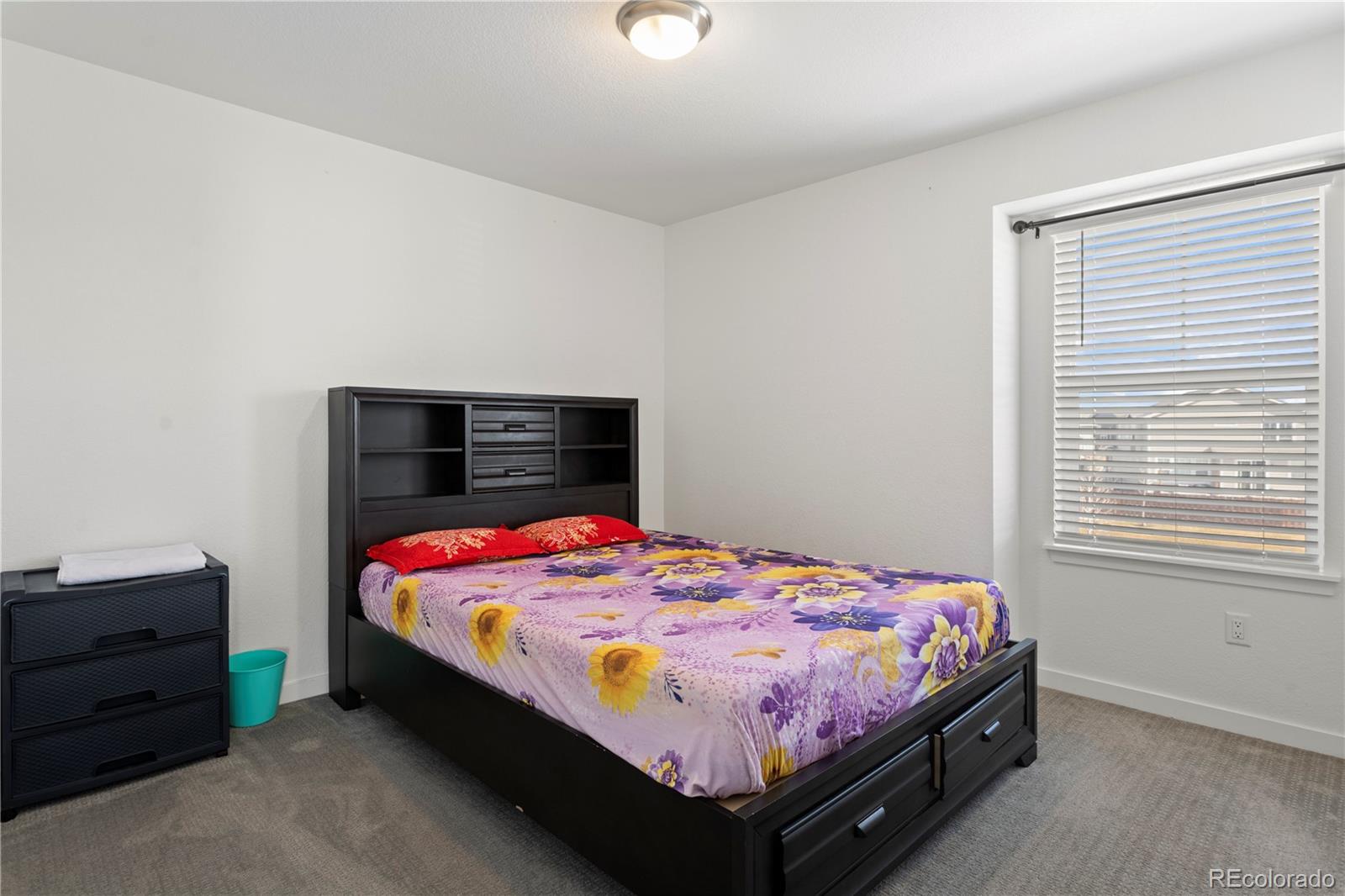 MLS Image #25 for 13297 e 109th way,commerce city, Colorado