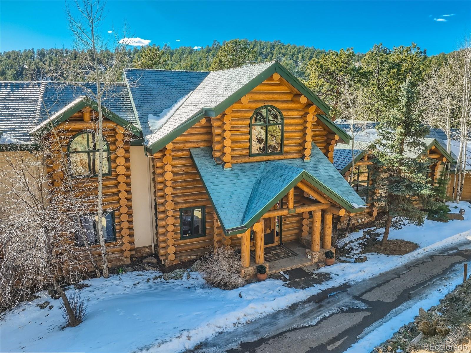 MLS Image #5 for 1763  pinedale ranch circle,evergreen, Colorado