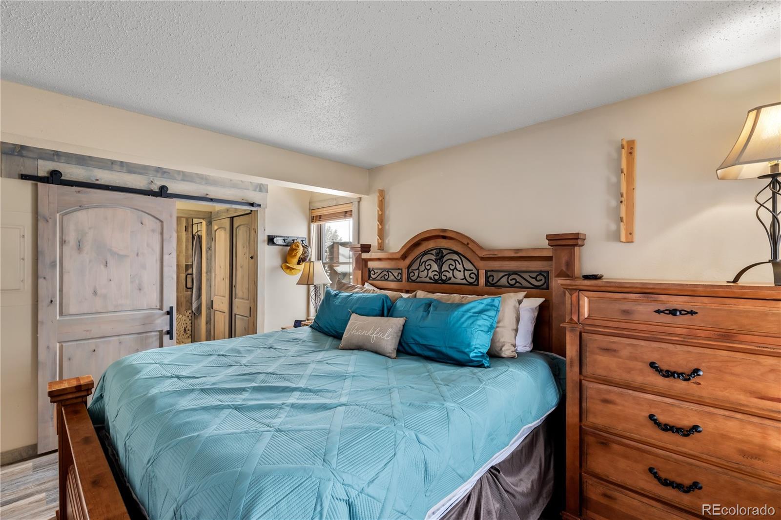 MLS Image #12 for 2025  walton creek road,steamboat springs, Colorado