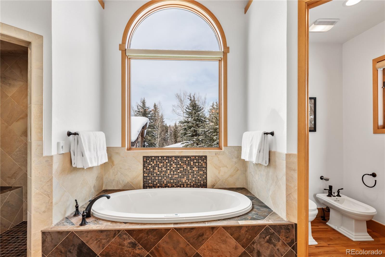 MLS Image #22 for 1313  storm peak lane,steamboat springs, Colorado