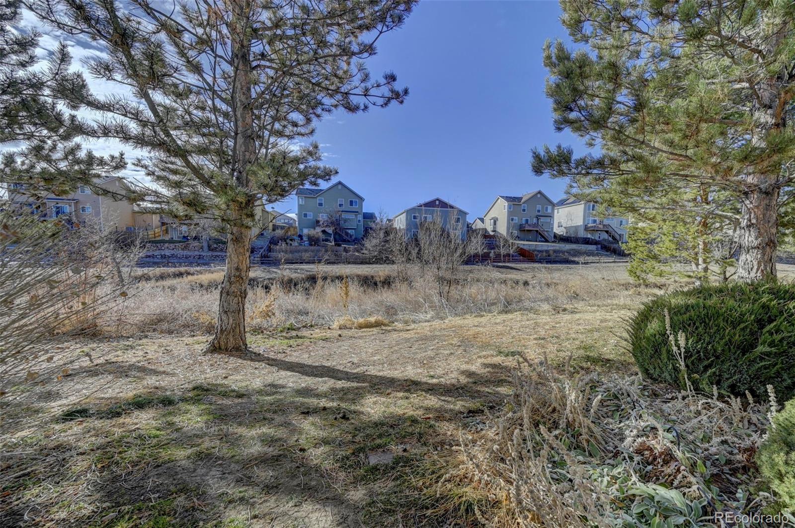 MLS Image #19 for 7794  sandy springs point,fountain, Colorado