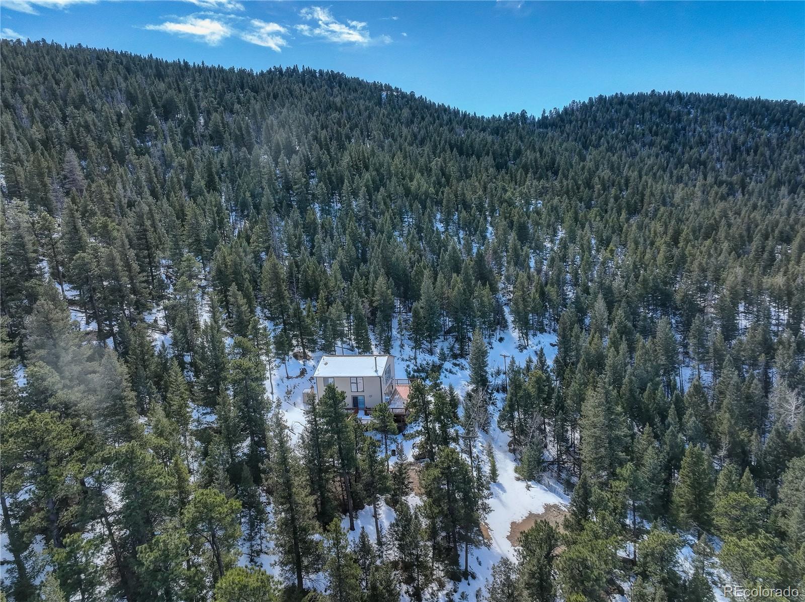 MLS Image #4 for 33804  bergen view trail,evergreen, Colorado