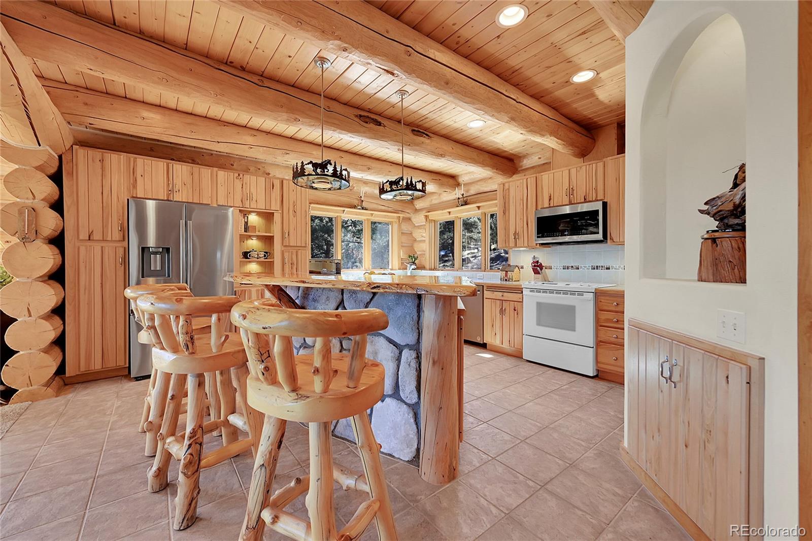 MLS Image #11 for 256  blueberry trail,bailey, Colorado