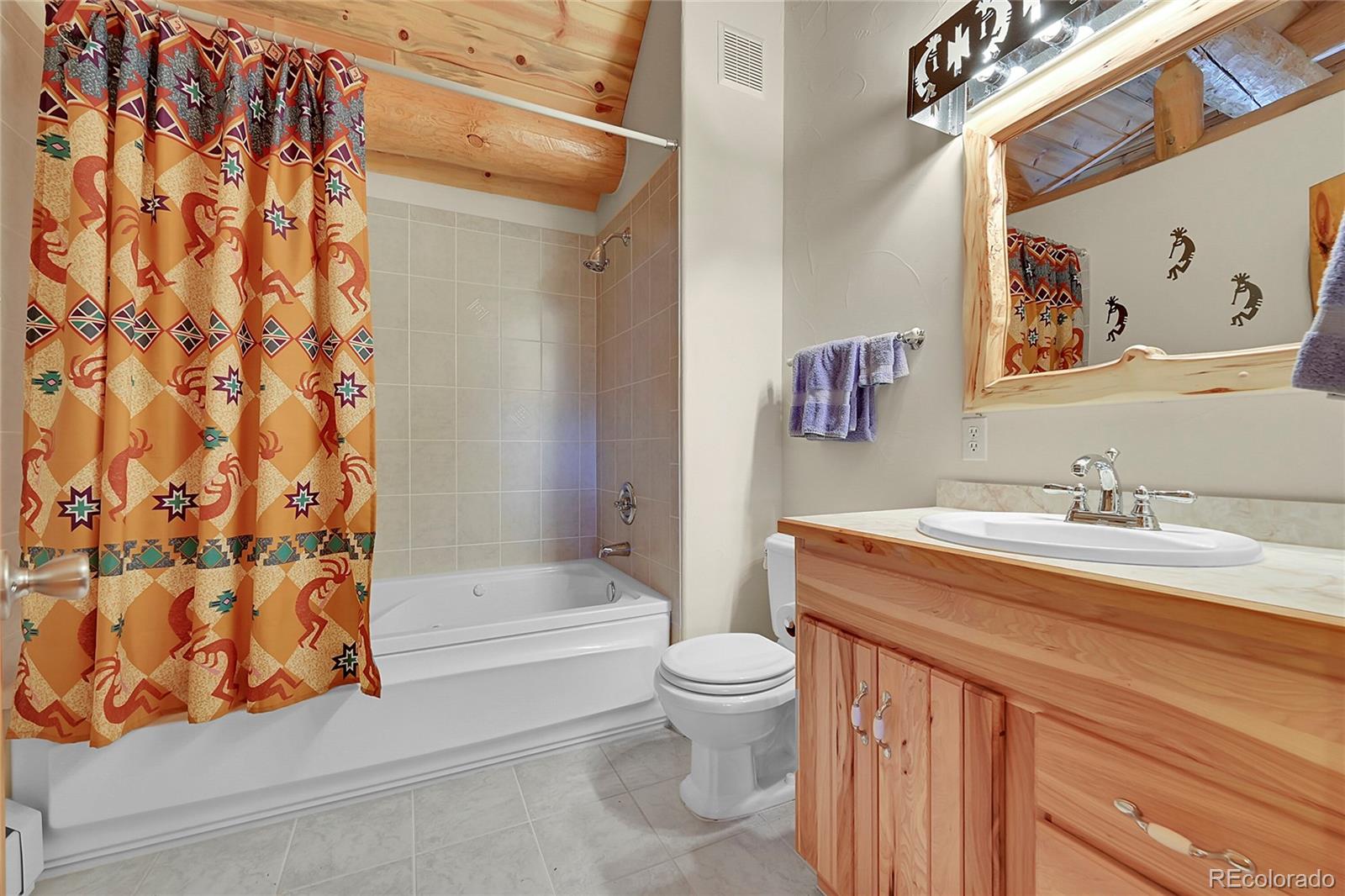 MLS Image #28 for 256  blueberry trail,bailey, Colorado