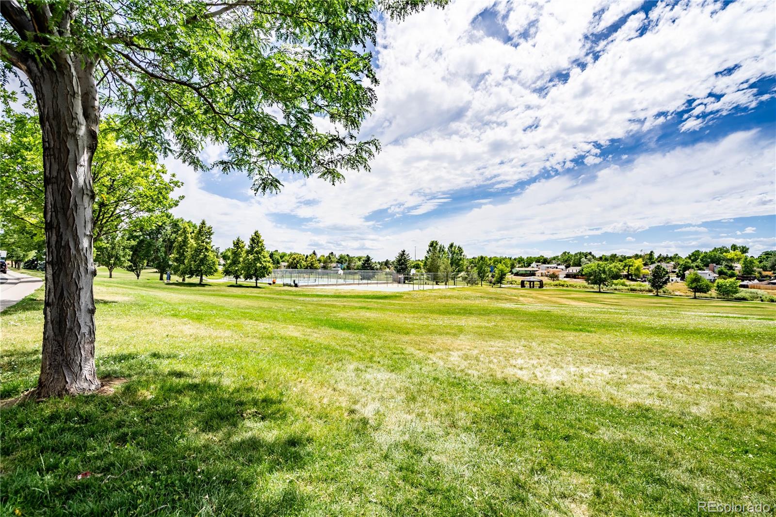 MLS Image #22 for 1181 s zeno way,aurora, Colorado