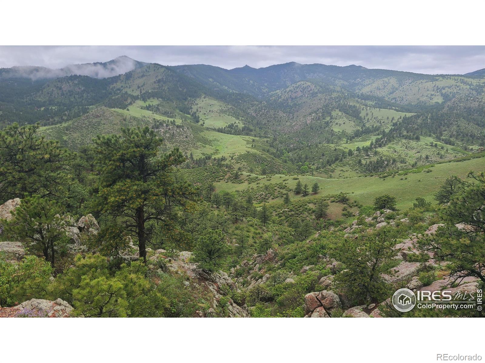 MLS Image #35 for 956  silver sage lane,lyons, Colorado