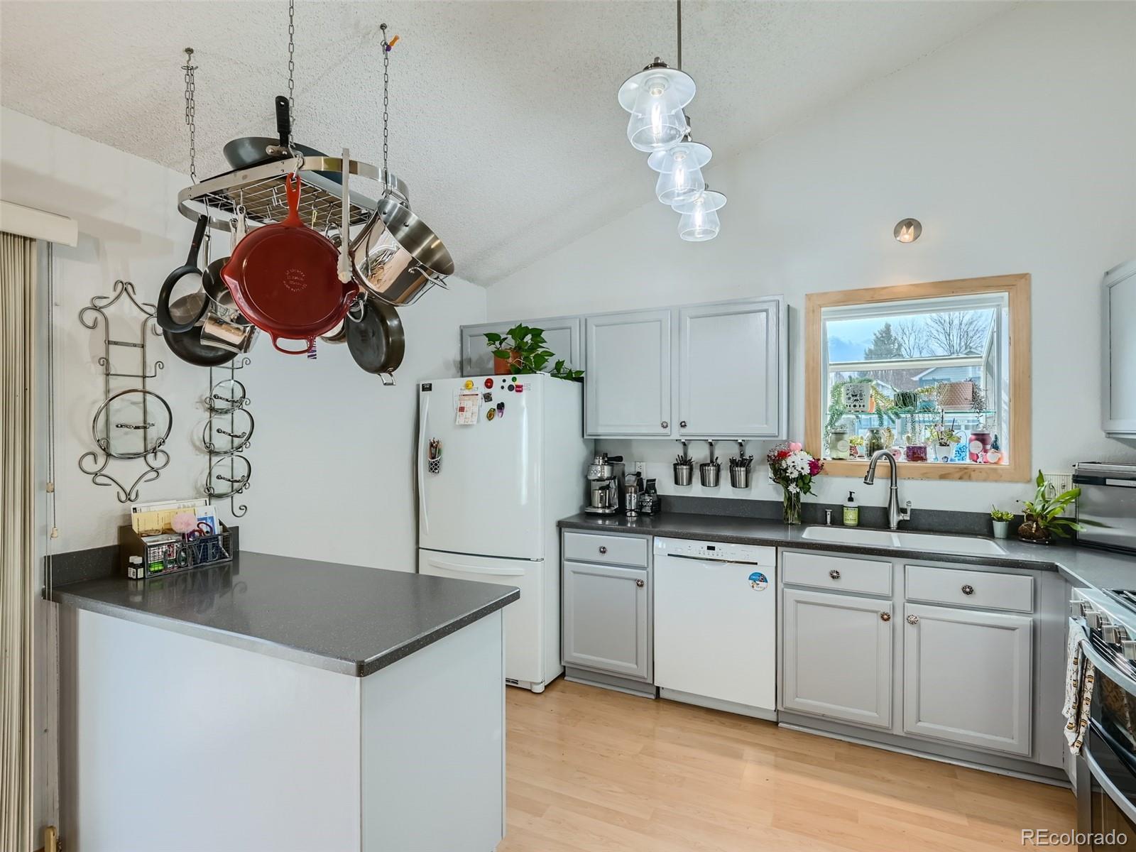 MLS Image #6 for 12434  forest view street,broomfield, Colorado