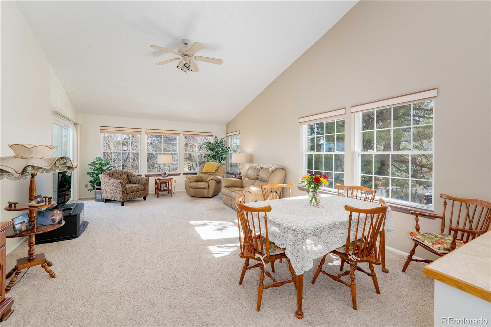 MLS Image #6 for 9322  bauer court,lone tree, Colorado