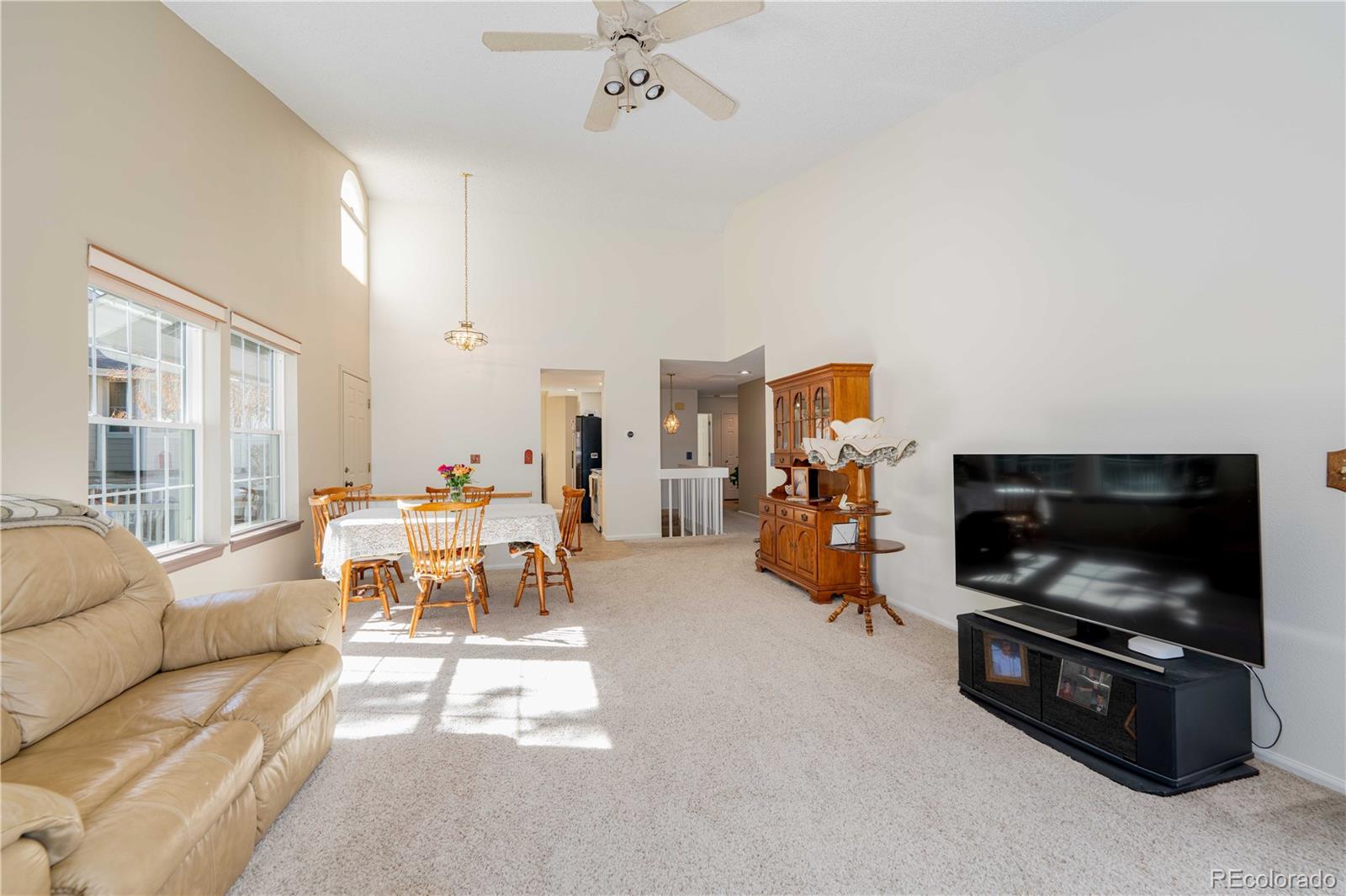 MLS Image #8 for 9322  bauer court,lone tree, Colorado