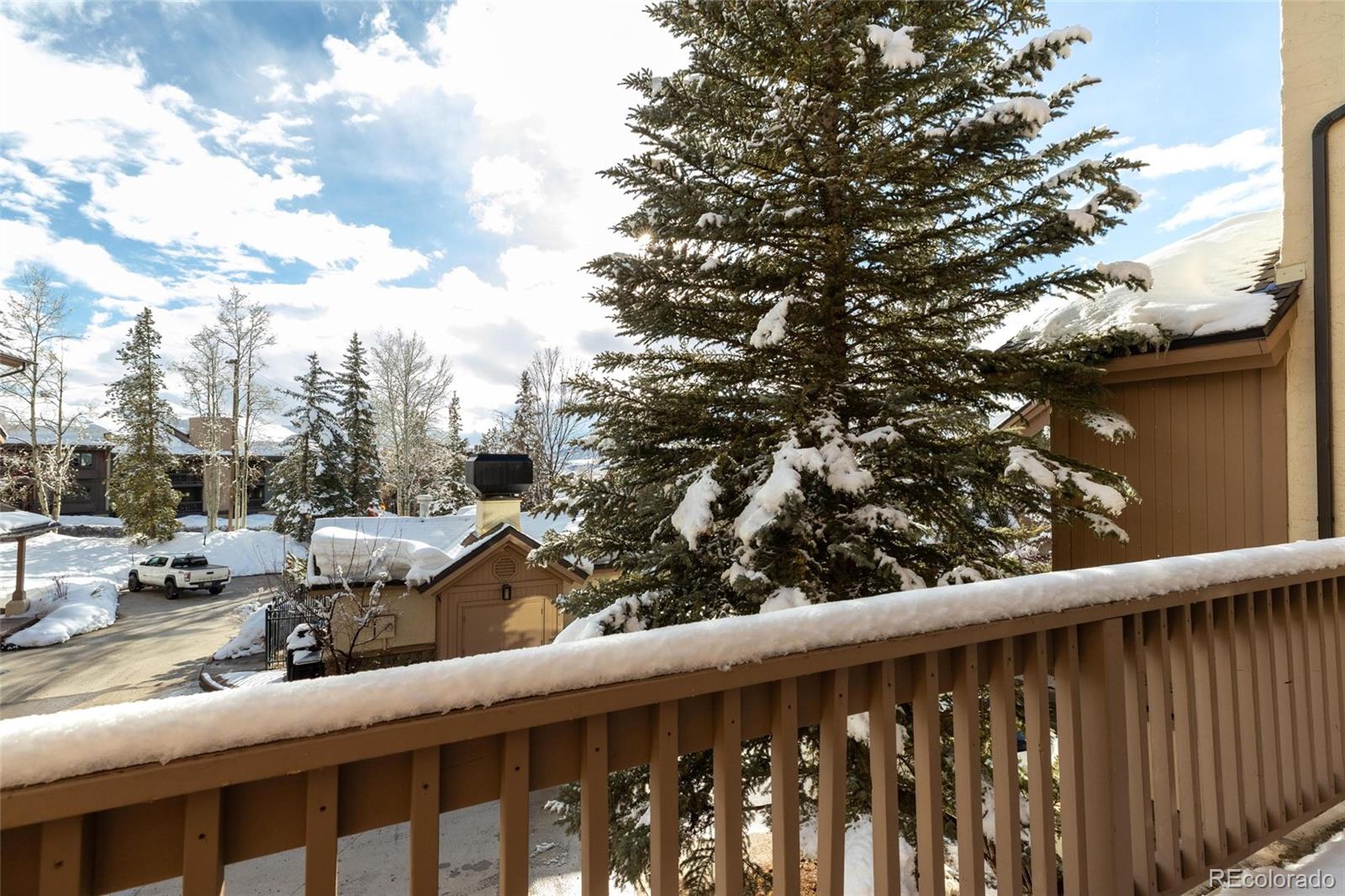 MLS Image #29 for 2300  apres ski way,steamboat springs, Colorado