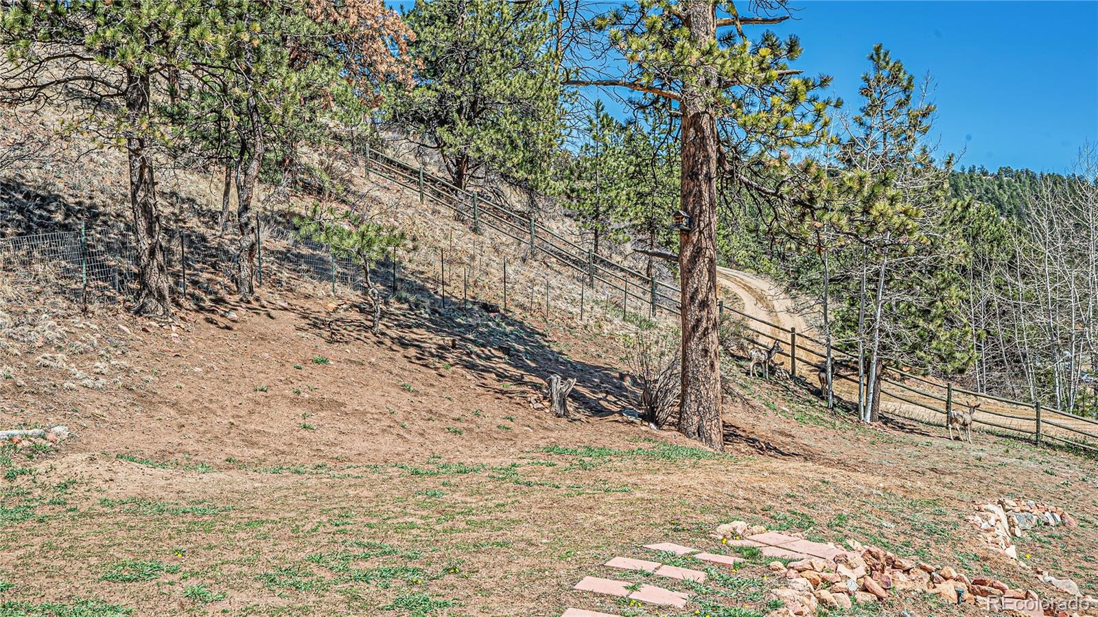 MLS Image #22 for 195  brookside drive,bailey, Colorado