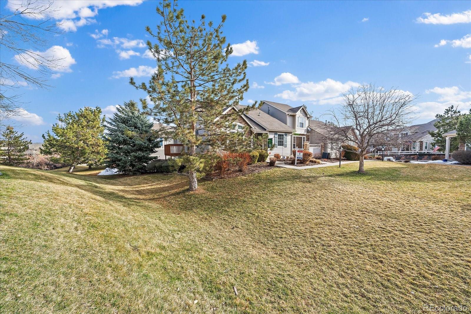 MLS Image #32 for 7407  norfolk place,castle pines, Colorado