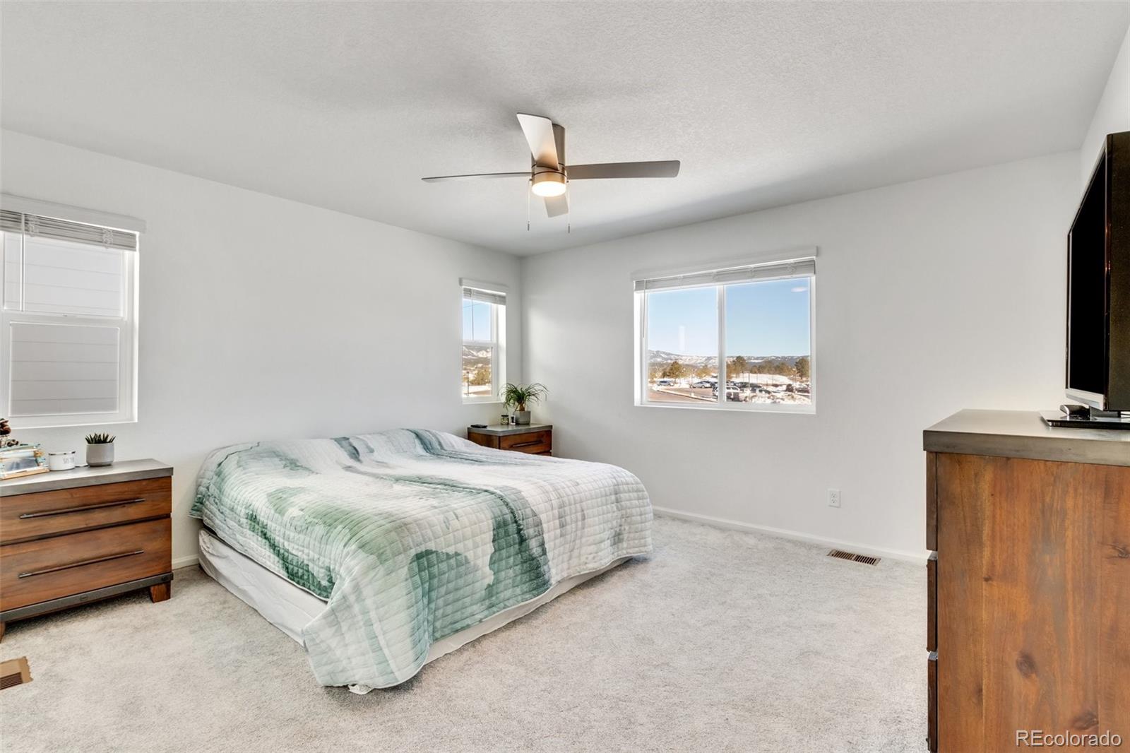 MLS Image #10 for 16422  mountain flax drive,monument, Colorado