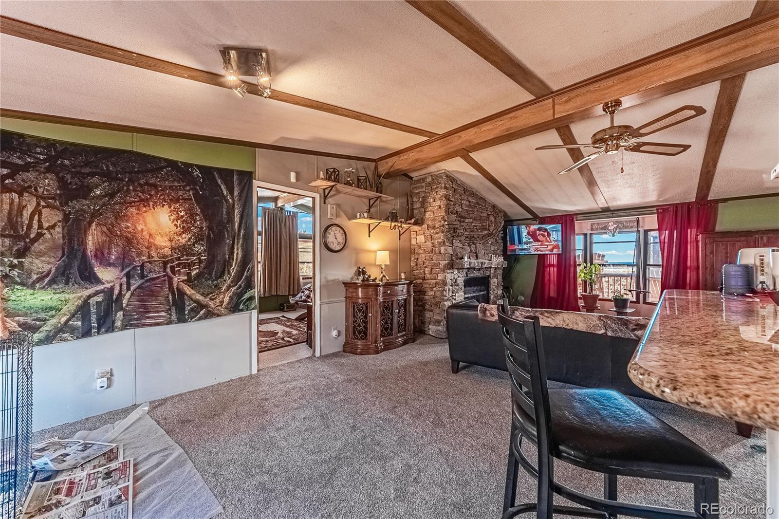 MLS Image #13 for 123  big horn drive,walsenburg, Colorado