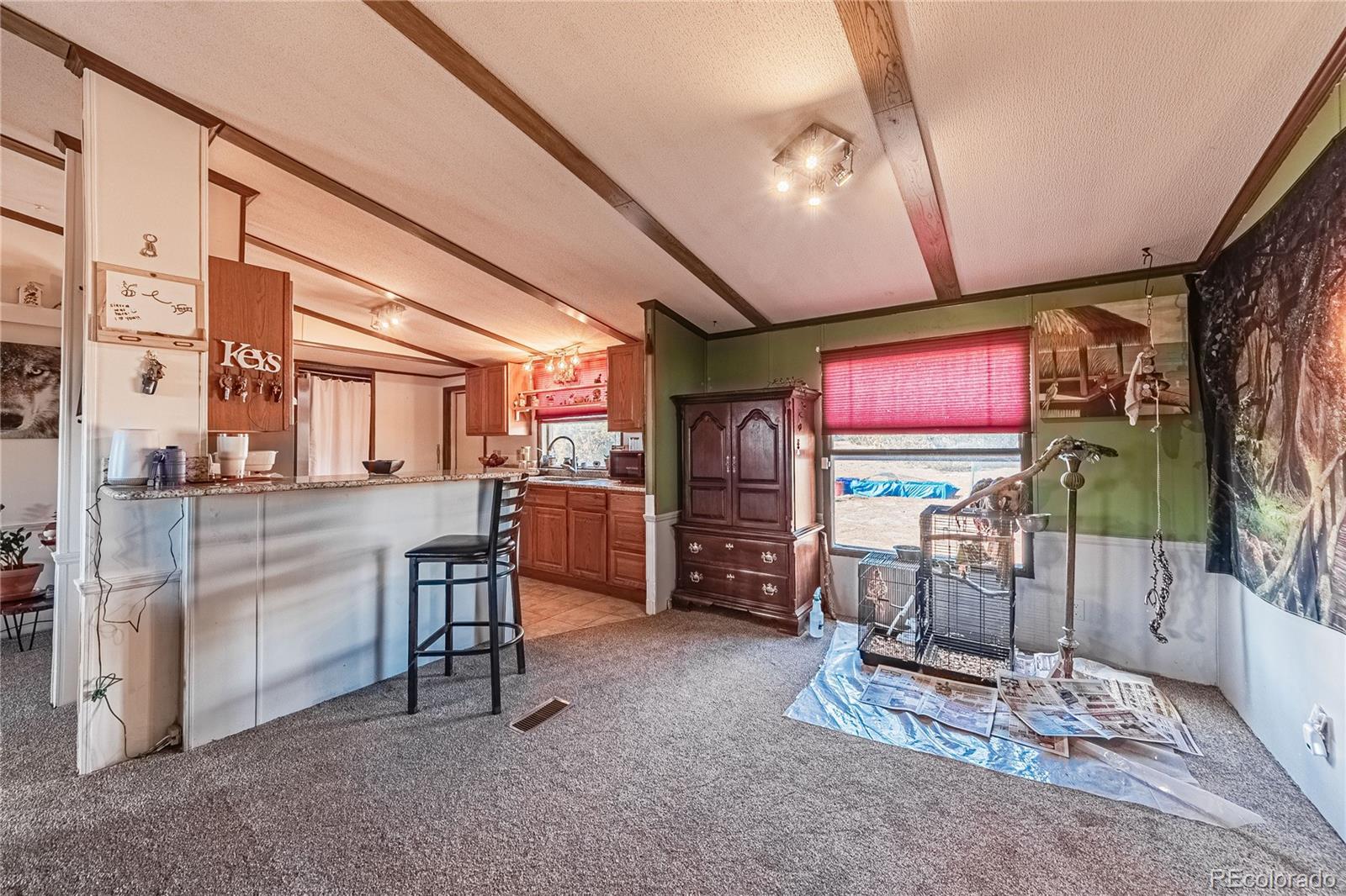 MLS Image #14 for 123  big horn drive,walsenburg, Colorado