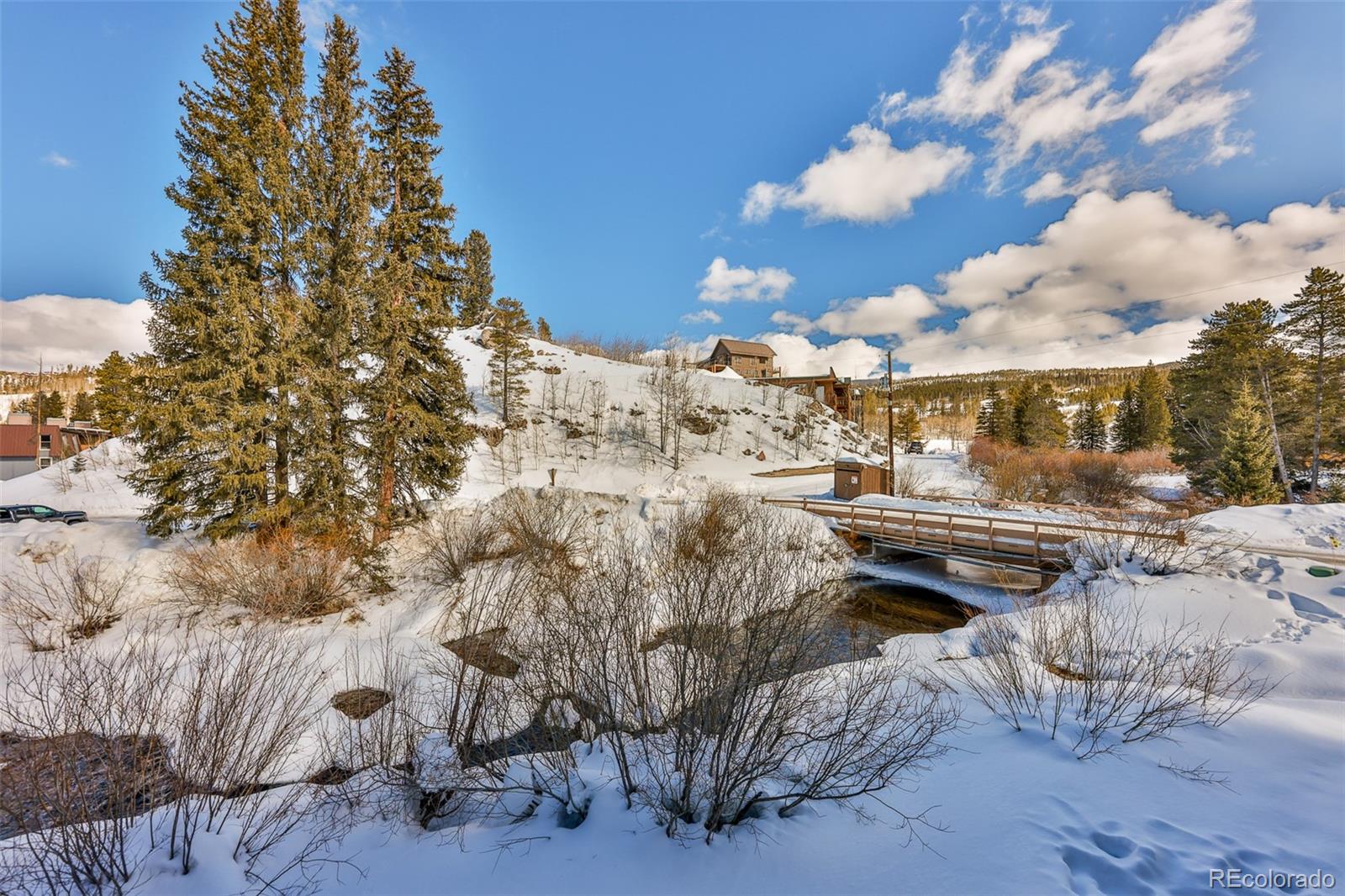 MLS Image #8 for 159  hi country drive,winter park, Colorado