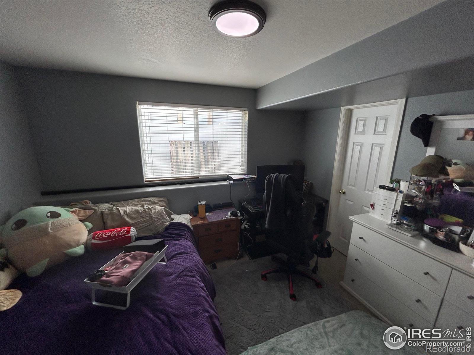 MLS Image #19 for 2644  clarion lane,fort collins, Colorado