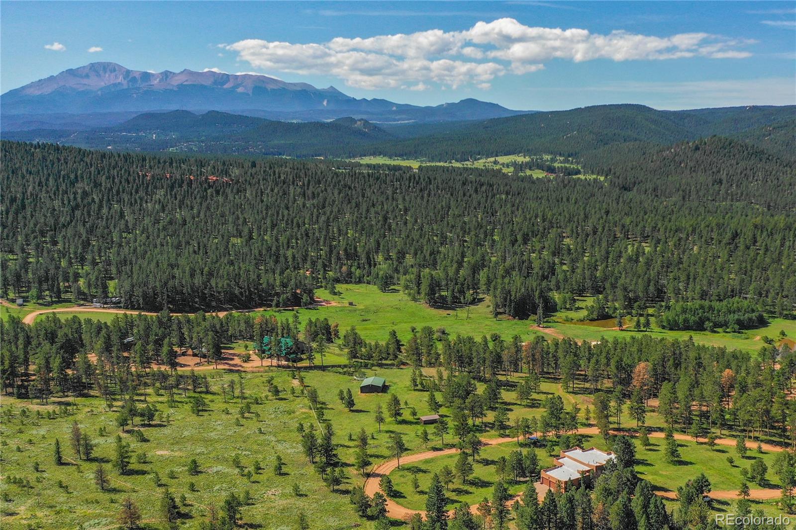 MLS Image #2 for 29860 n highway 67 highway,woodland park, Colorado