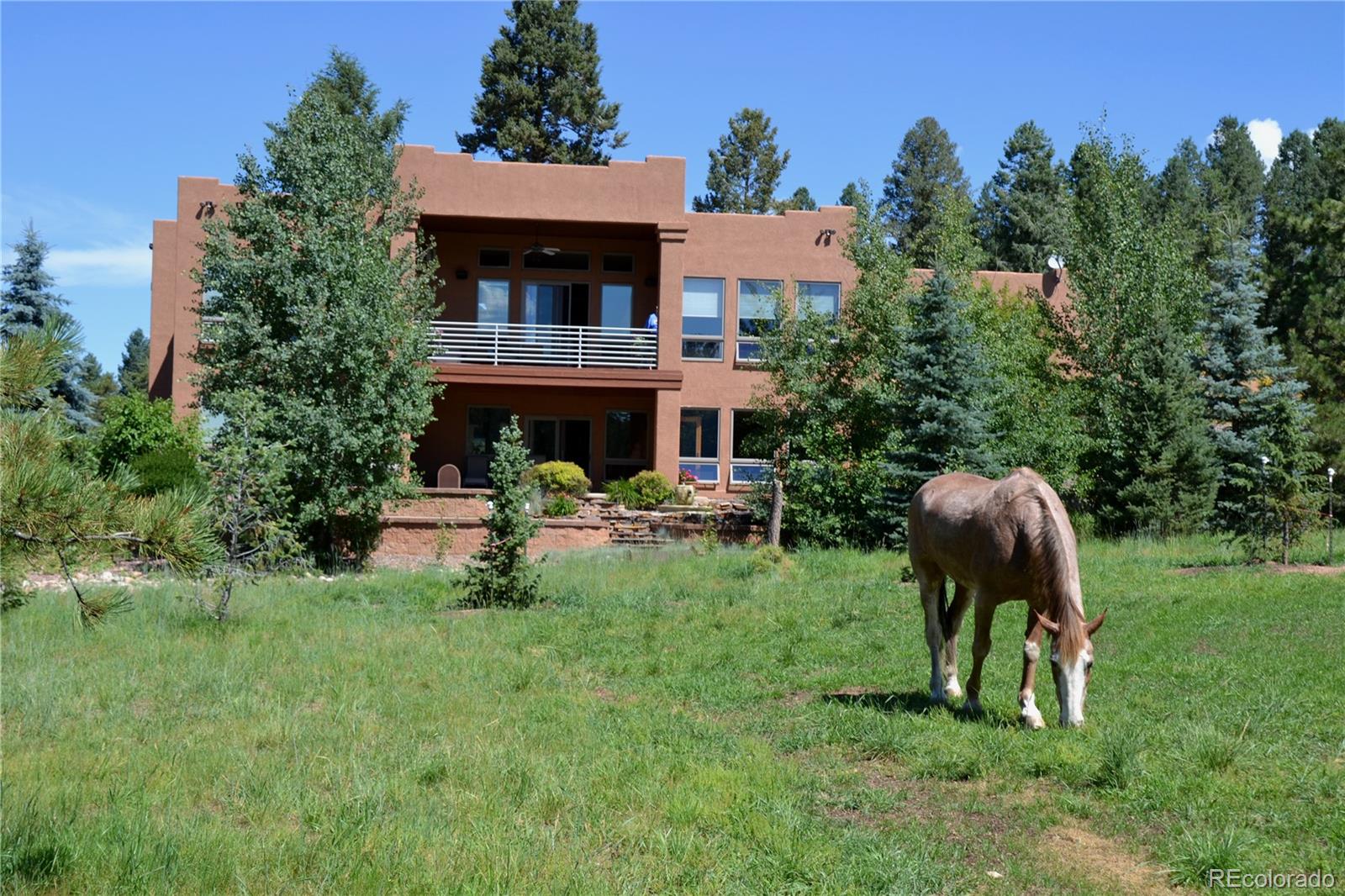 MLS Image #39 for 29860 n highway 67 highway,woodland park, Colorado