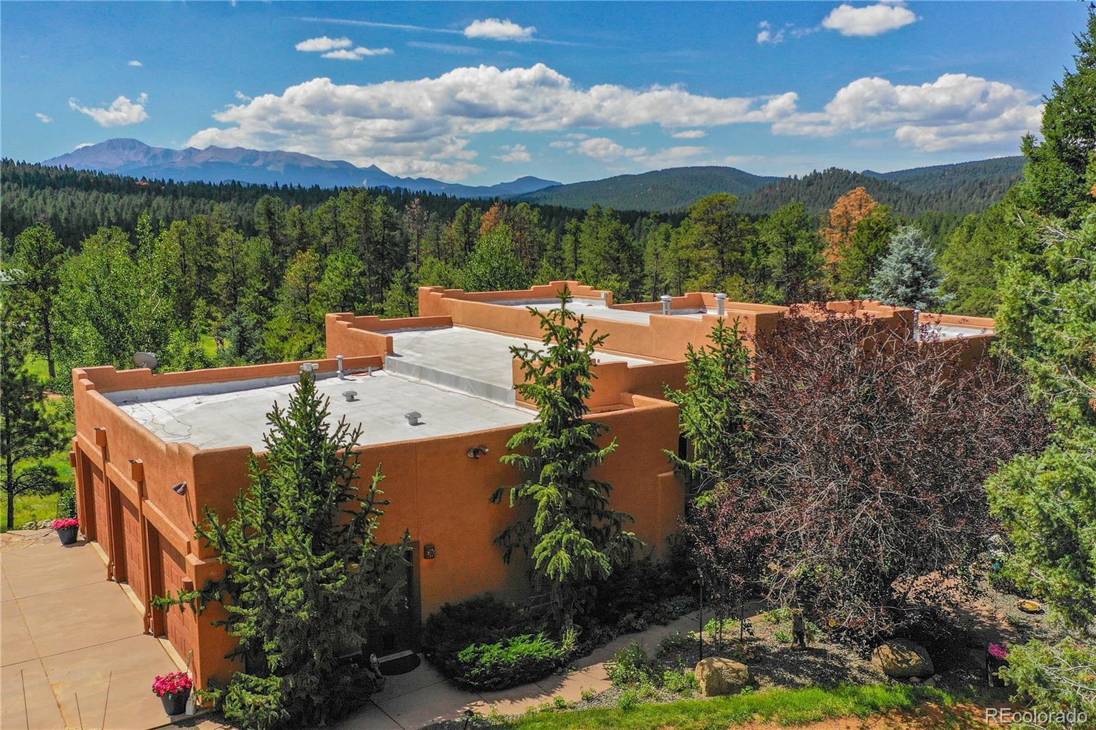 MLS Image #4 for 29860 n highway 67 highway,woodland park, Colorado