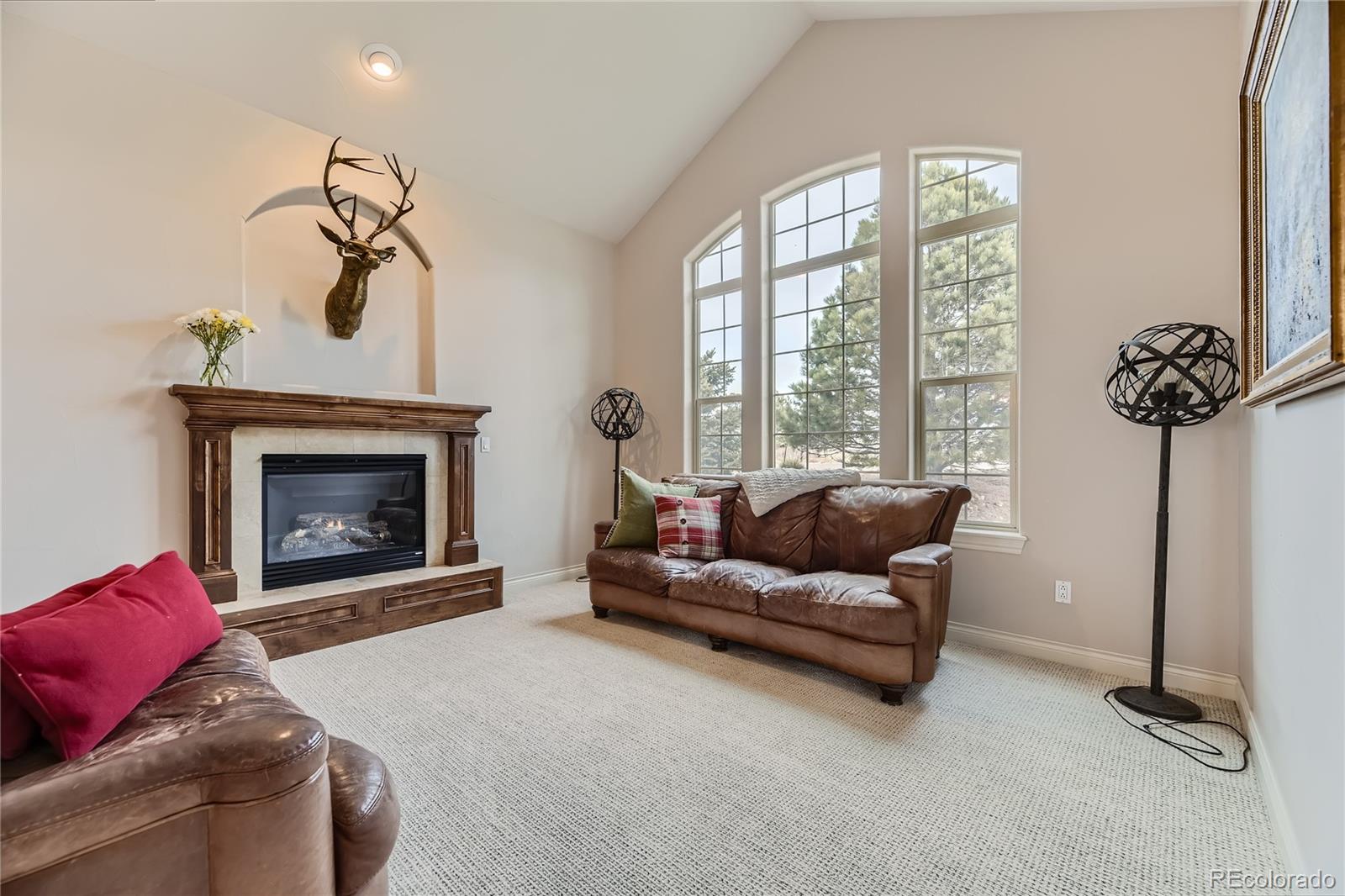 MLS Image #16 for 9247  red poppy court,parker, Colorado