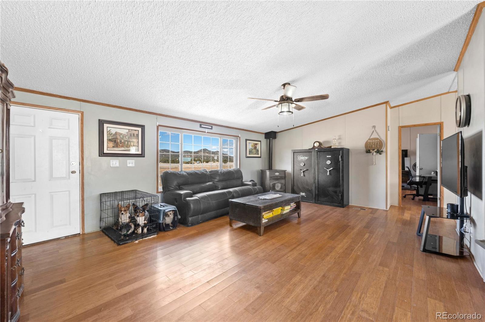 MLS Image #13 for 28  pinon lane,cotopaxi, Colorado