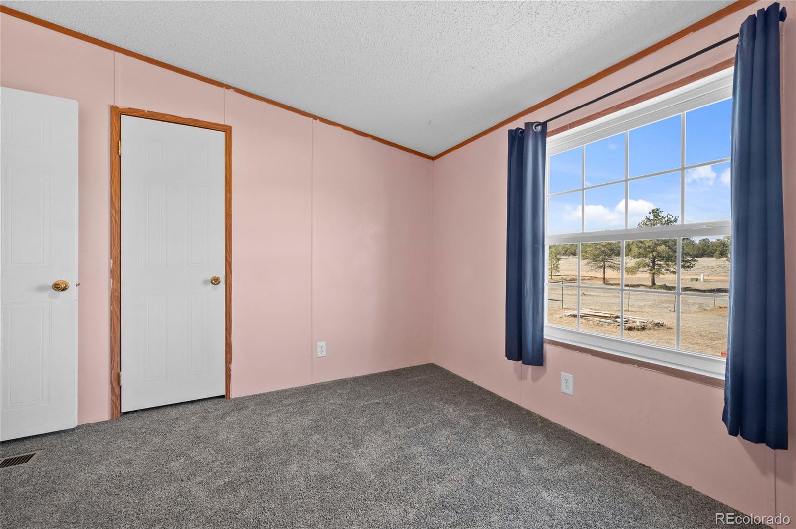 MLS Image #24 for 28  pinon lane,cotopaxi, Colorado