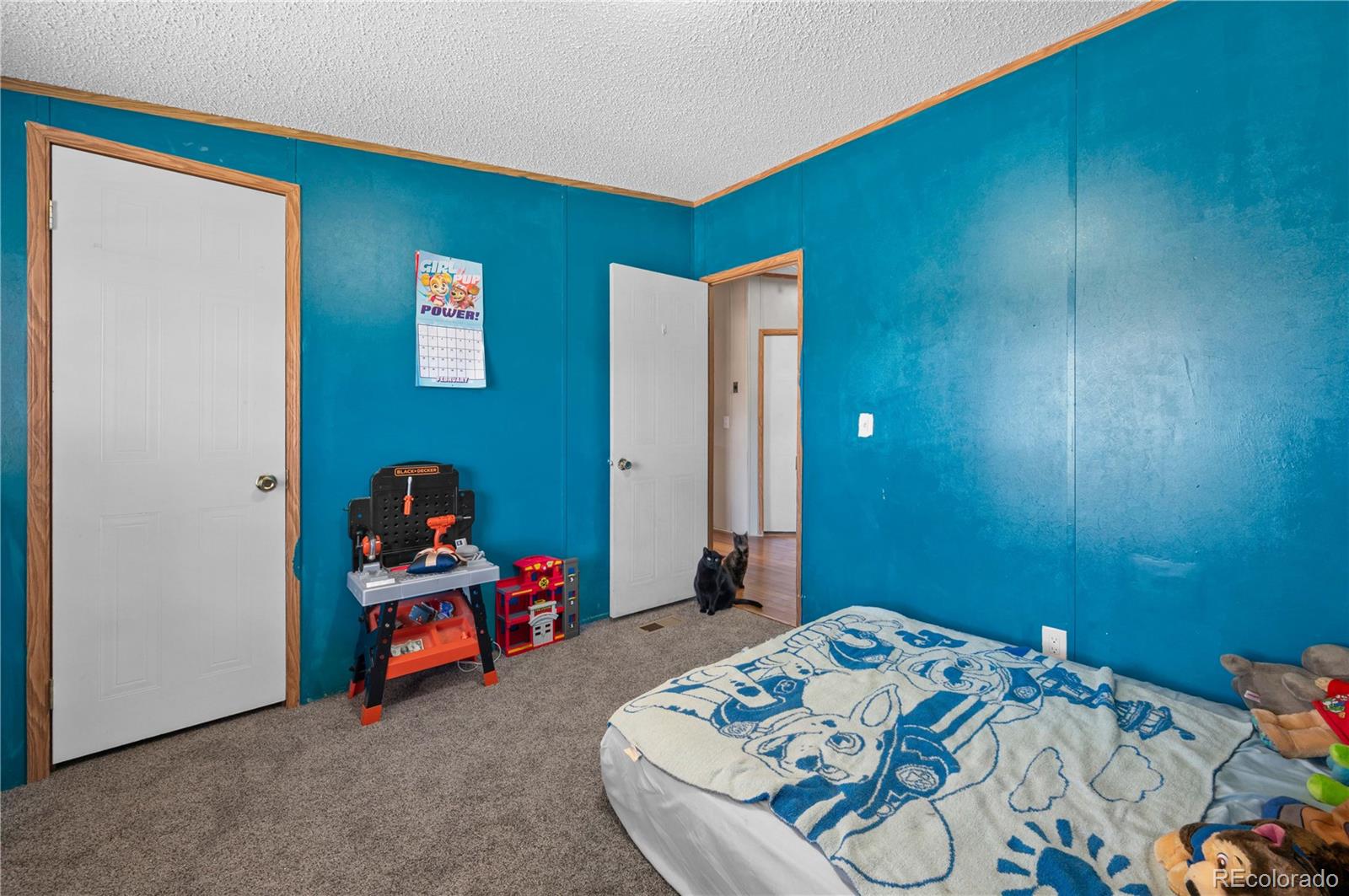 MLS Image #28 for 28  pinon lane,cotopaxi, Colorado