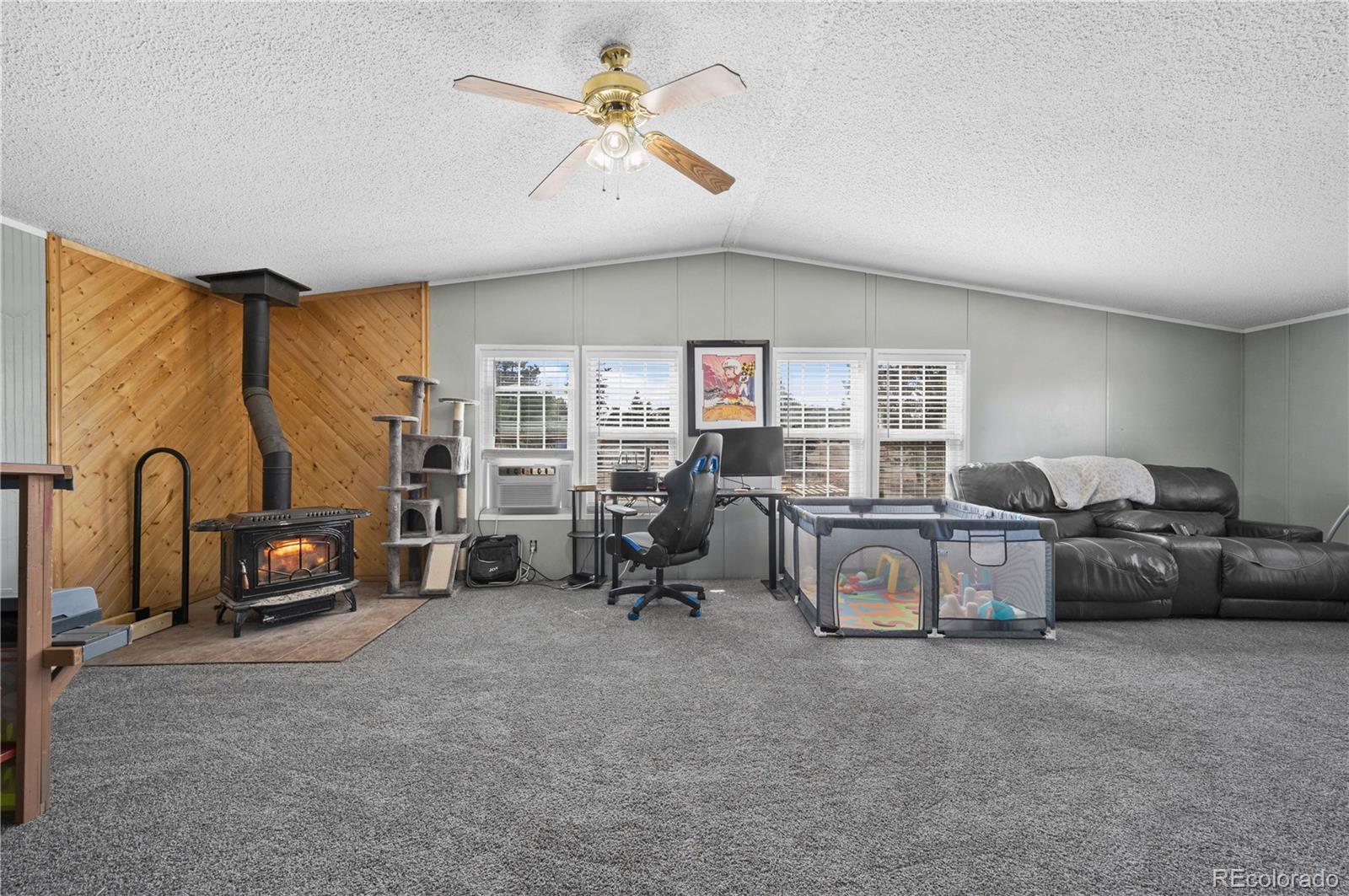 MLS Image #32 for 28  pinon lane,cotopaxi, Colorado