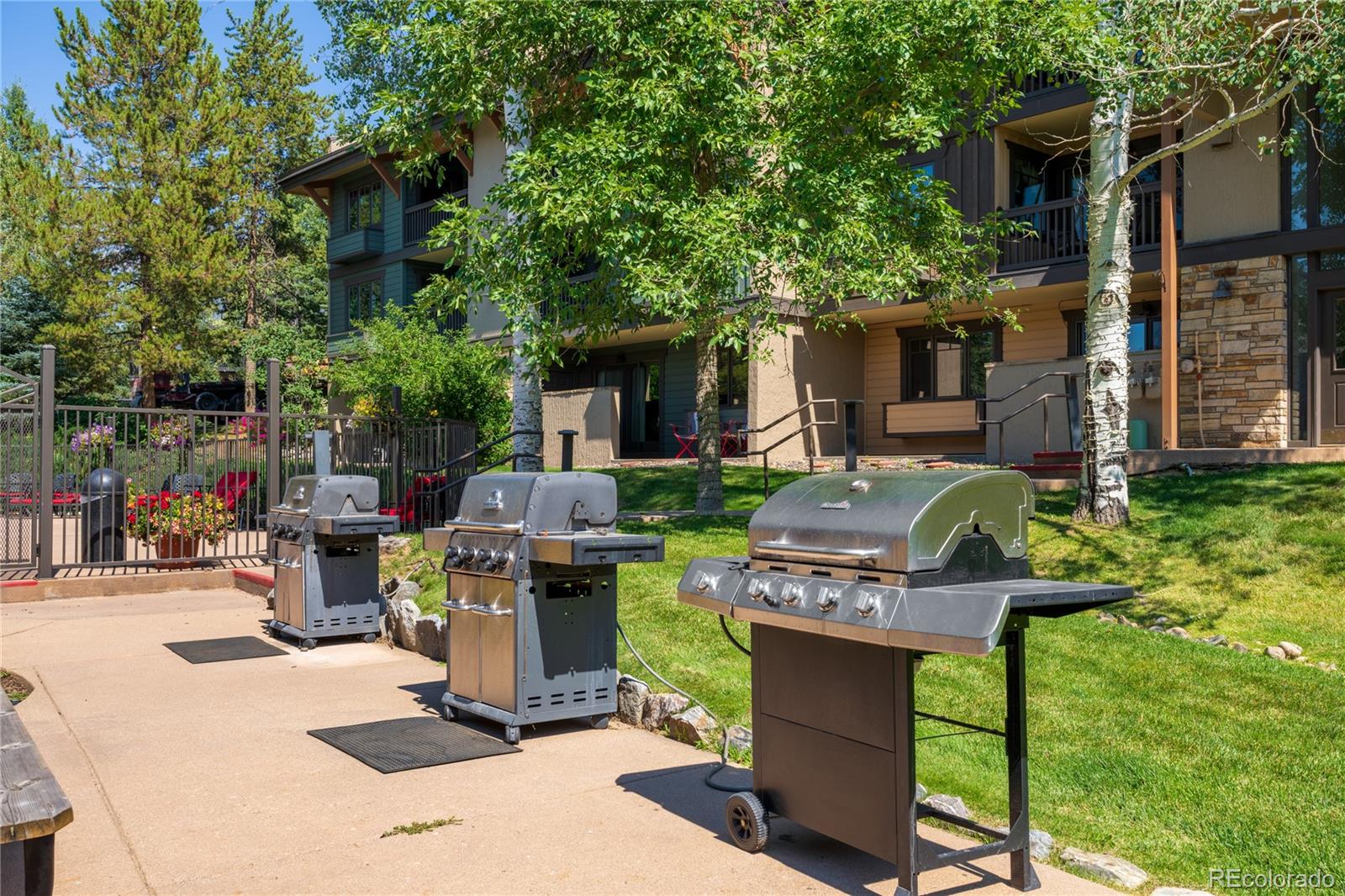 MLS Image #16 for 2305  apres ski way,steamboat springs, Colorado