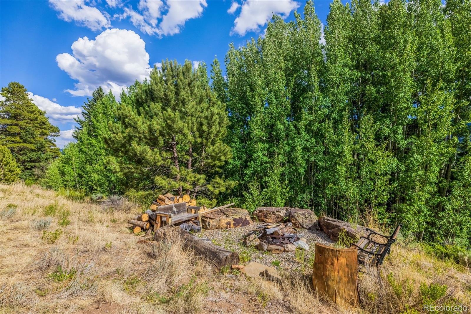 MLS Image #41 for 70  cr 26 ,twin lakes, Colorado
