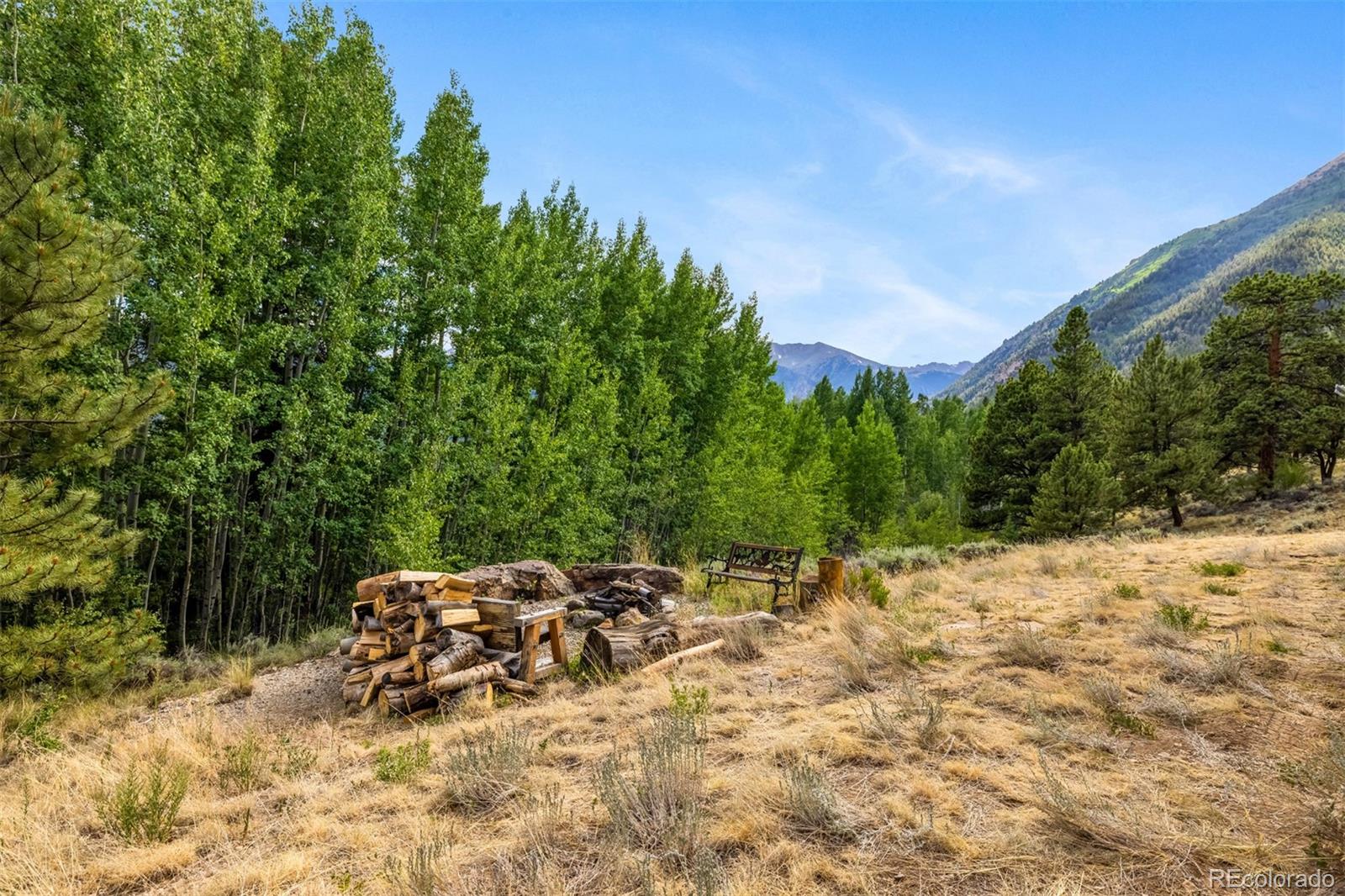 MLS Image #42 for 70  cr 26 ,twin lakes, Colorado