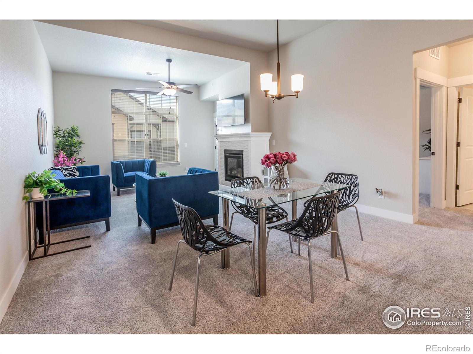 MLS Image #6 for 6582  crystal downs drive,windsor, Colorado