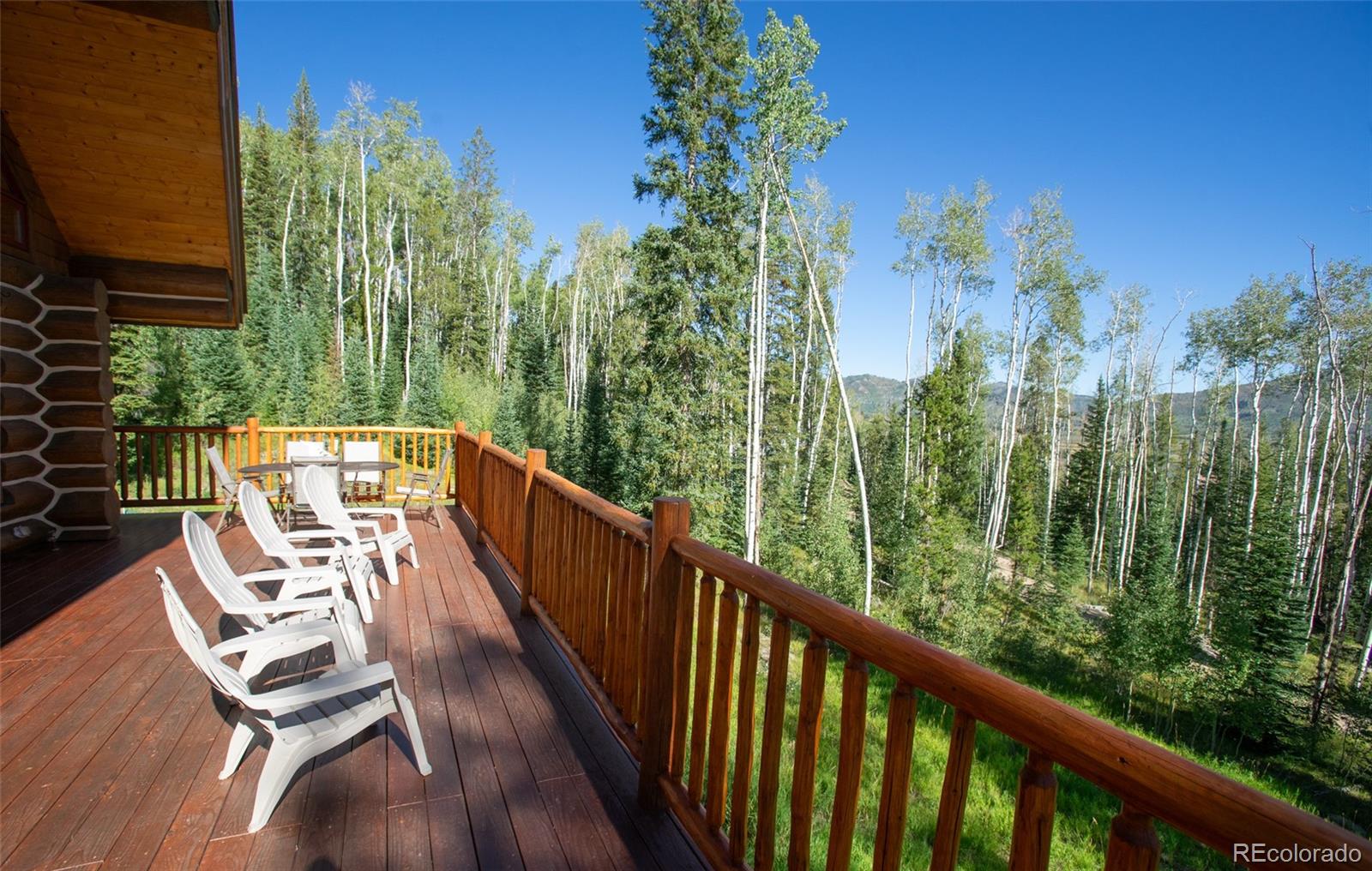 MLS Image #25 for 39345  leeward lane,clark, Colorado