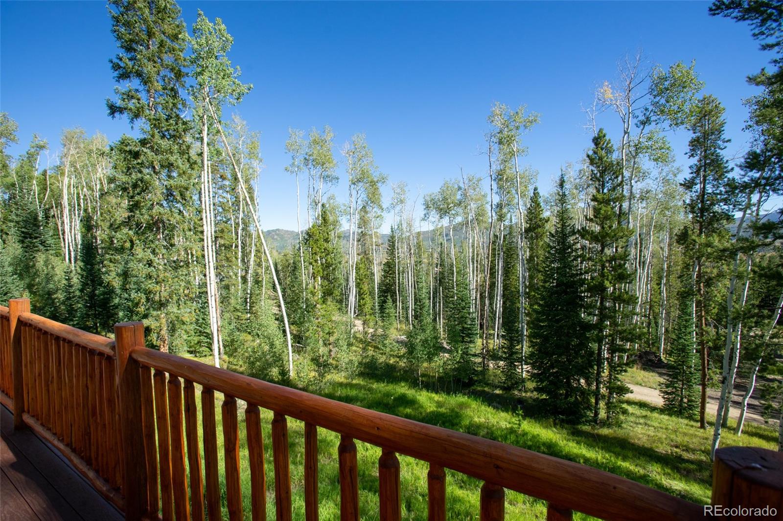 MLS Image #27 for 39345  leeward lane,clark, Colorado