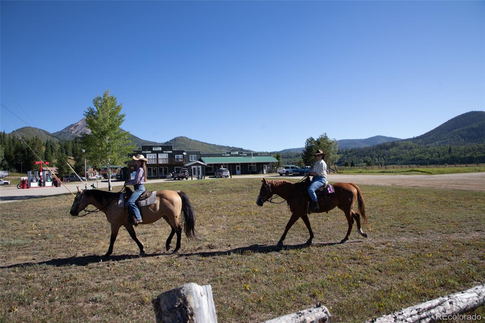 MLS Image #30 for 39345  leeward lane,clark, Colorado