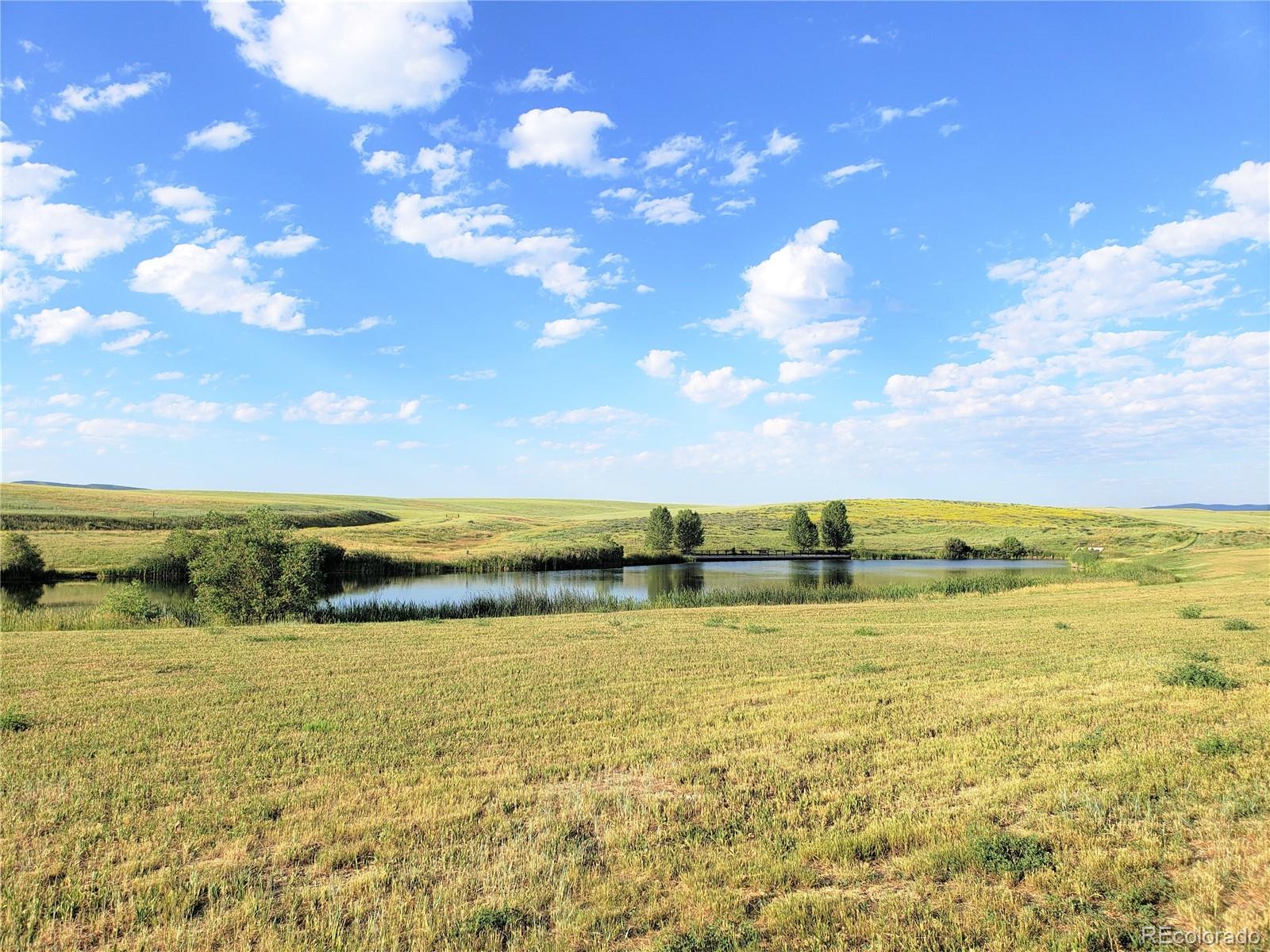 MLS Image #38 for 356  sunflower drive,hayden, Colorado