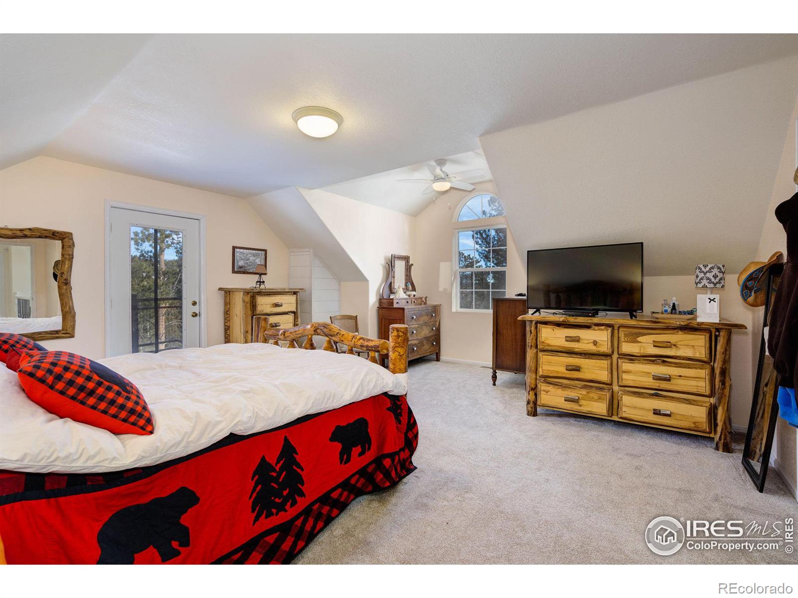 MLS Image #19 for 106  beartrap road,red feather lakes, Colorado