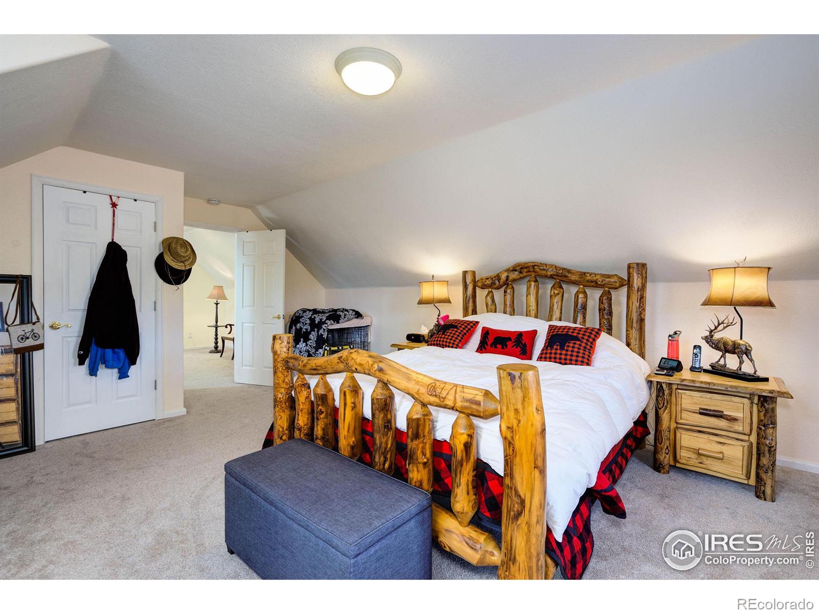 MLS Image #21 for 106  beartrap road,red feather lakes, Colorado