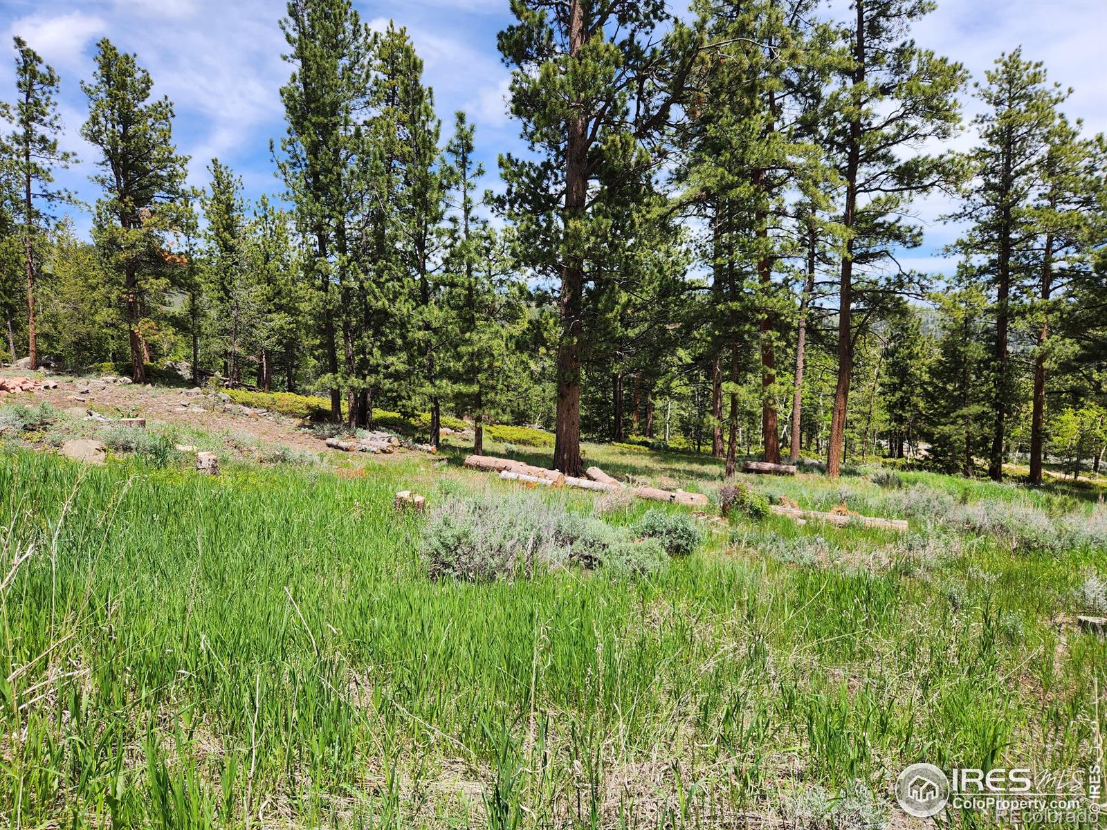 MLS Image #33 for 106  beartrap road,red feather lakes, Colorado