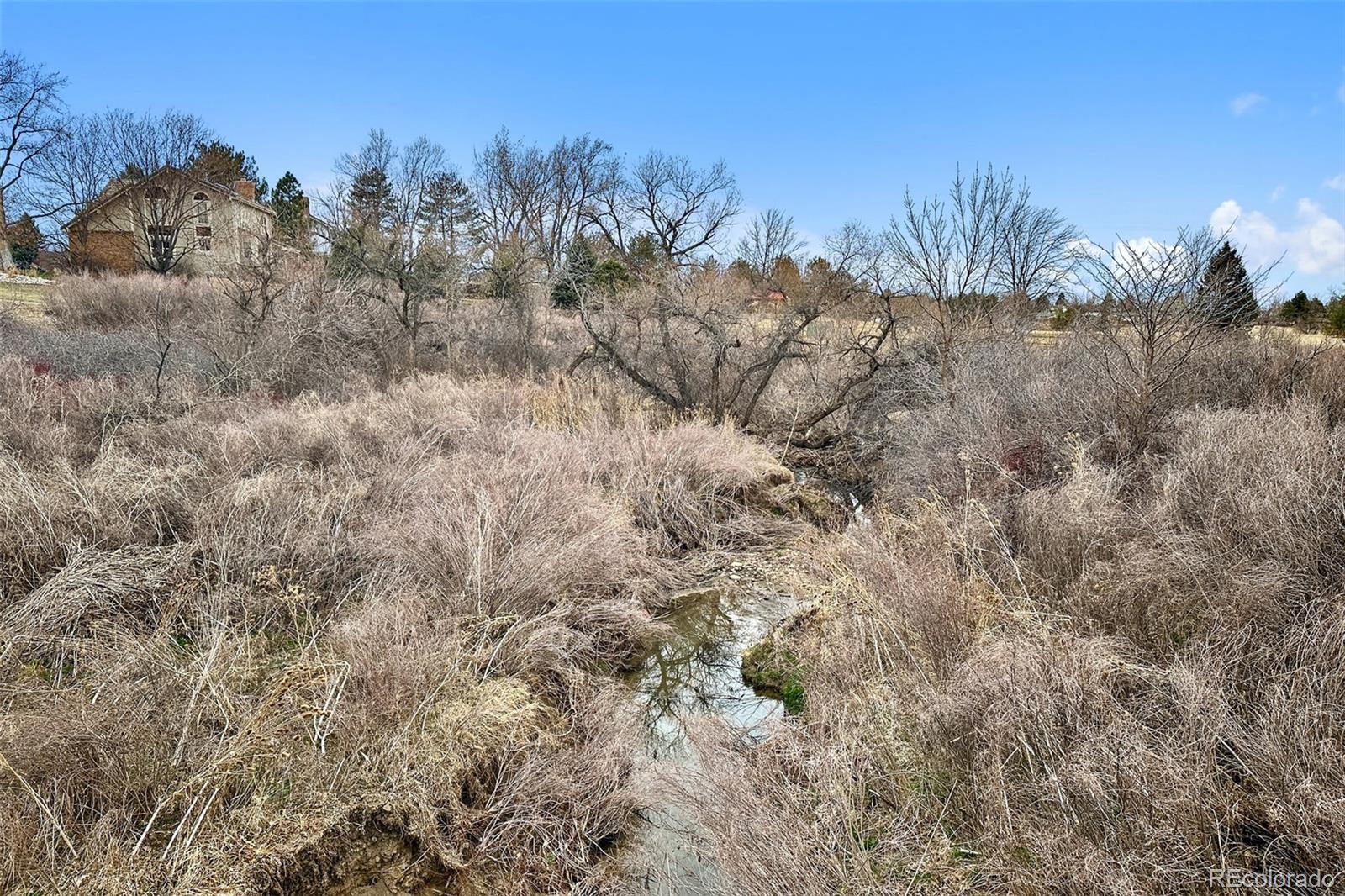 MLS Image #42 for 9122  madre place ,lone tree, Colorado