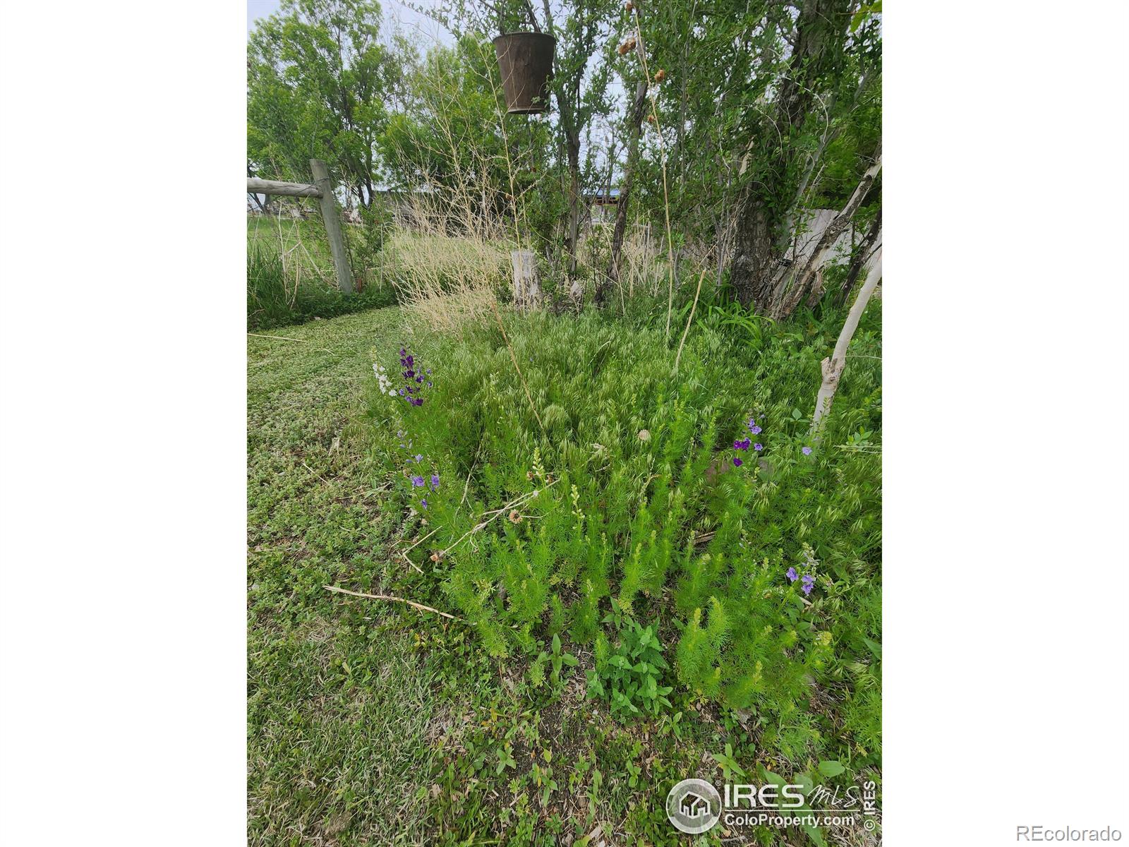 MLS Image #37 for 19652  county road 26 ,sterling, Colorado