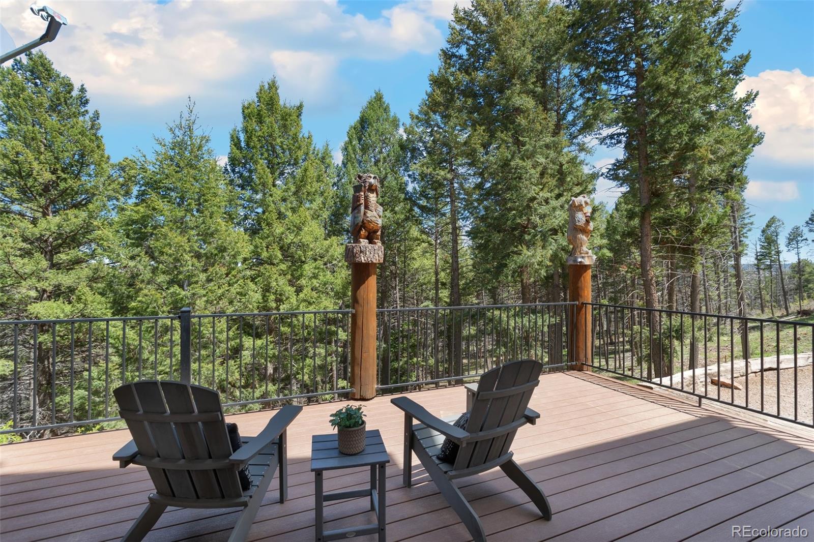 MLS Image #38 for 13525  woodmoor west drive,larkspur, Colorado