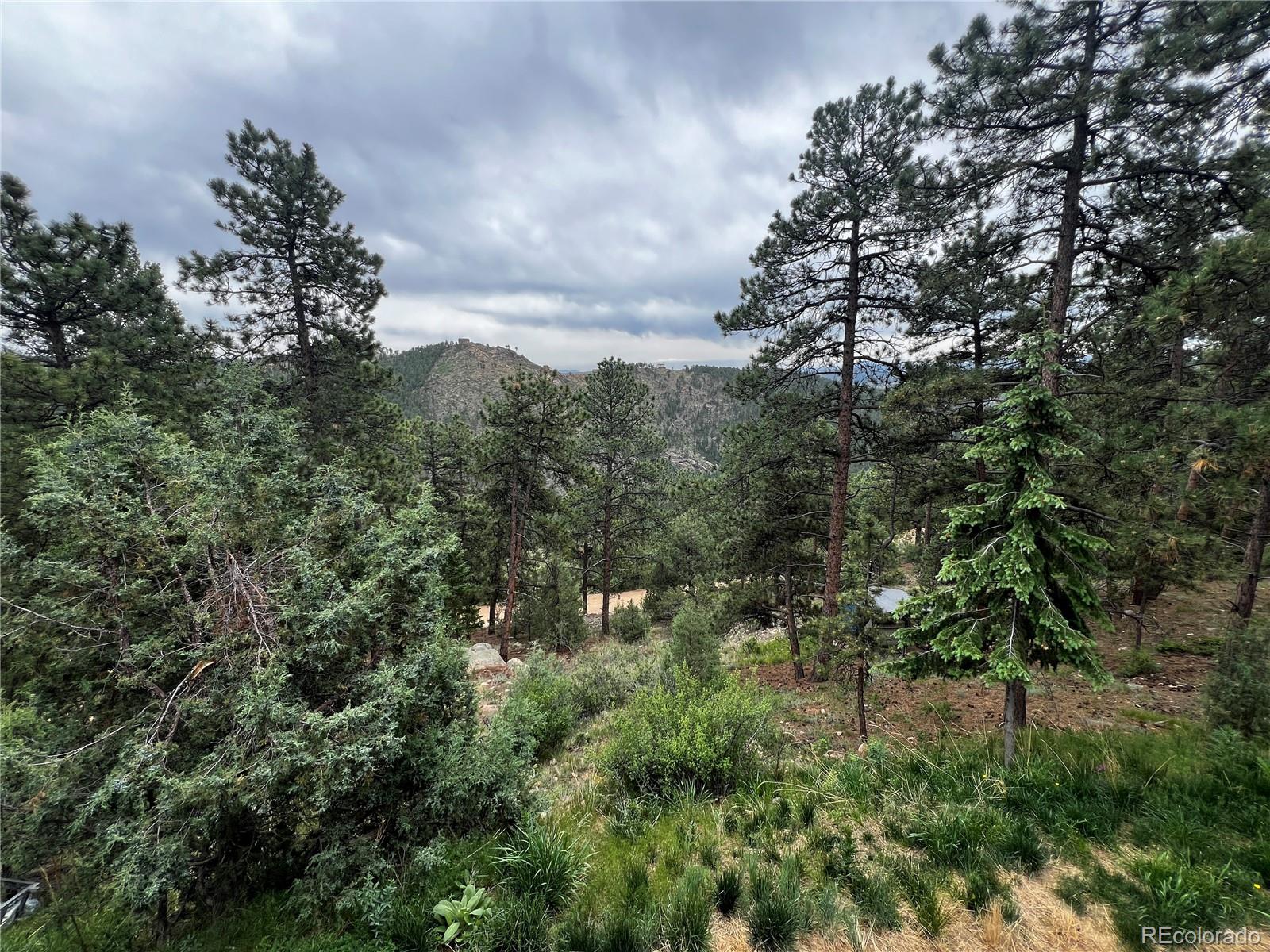 MLS Image #27 for 68  turkey lane,bailey, Colorado